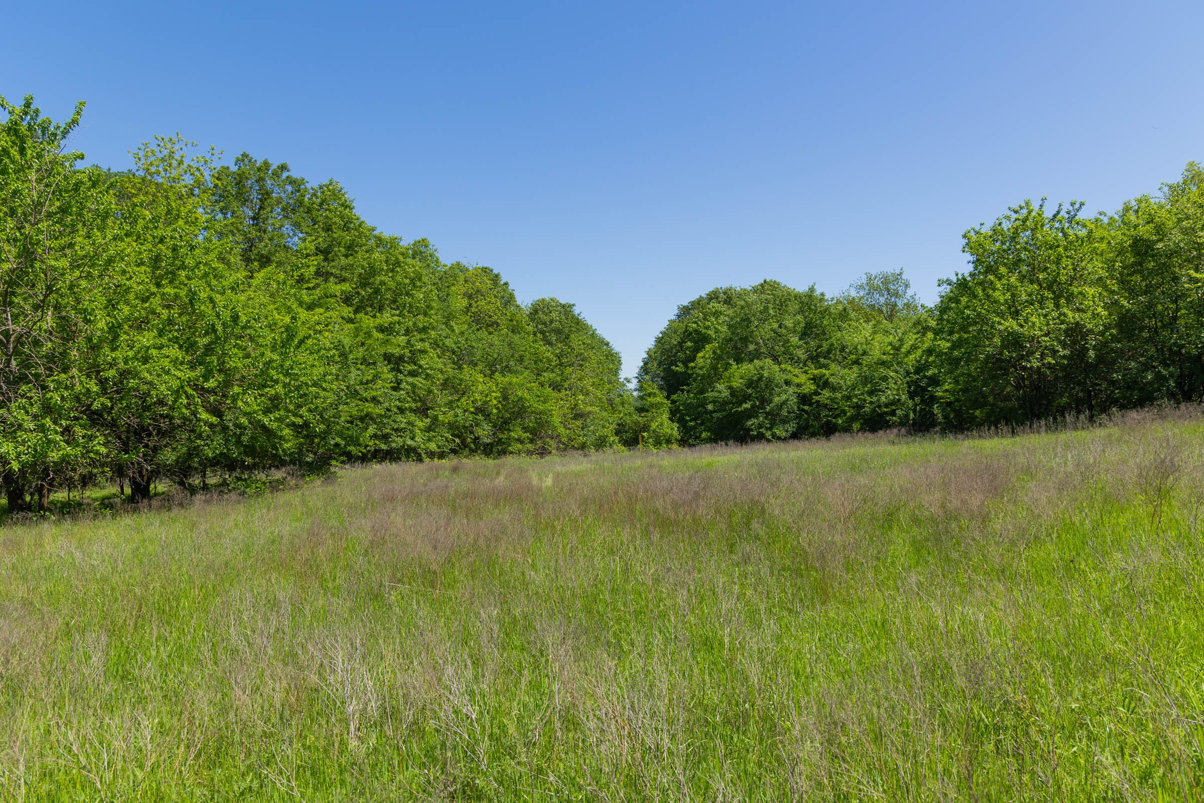 Harmony Hills Tract 35 photo 12