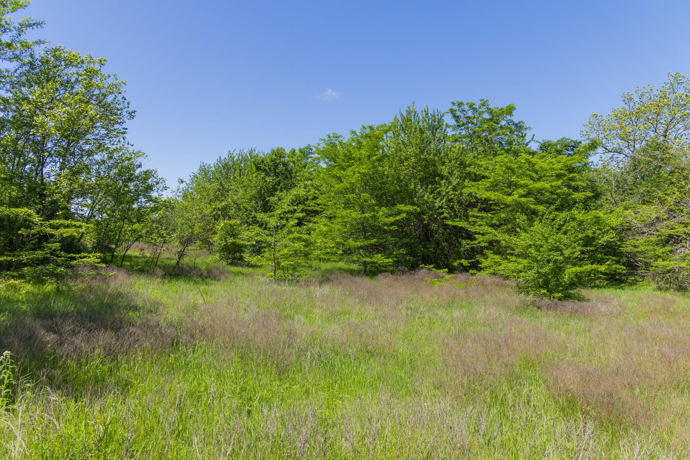 Harmony Hills Tract 35 photo 11