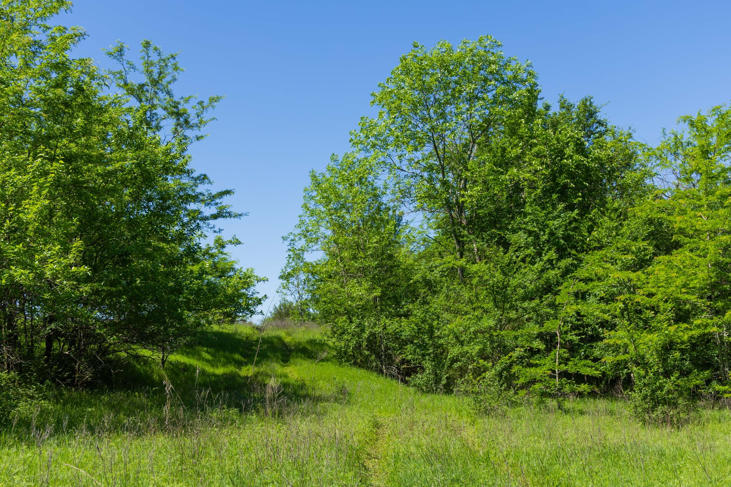 Harmony Hills Tract 35 photo 10