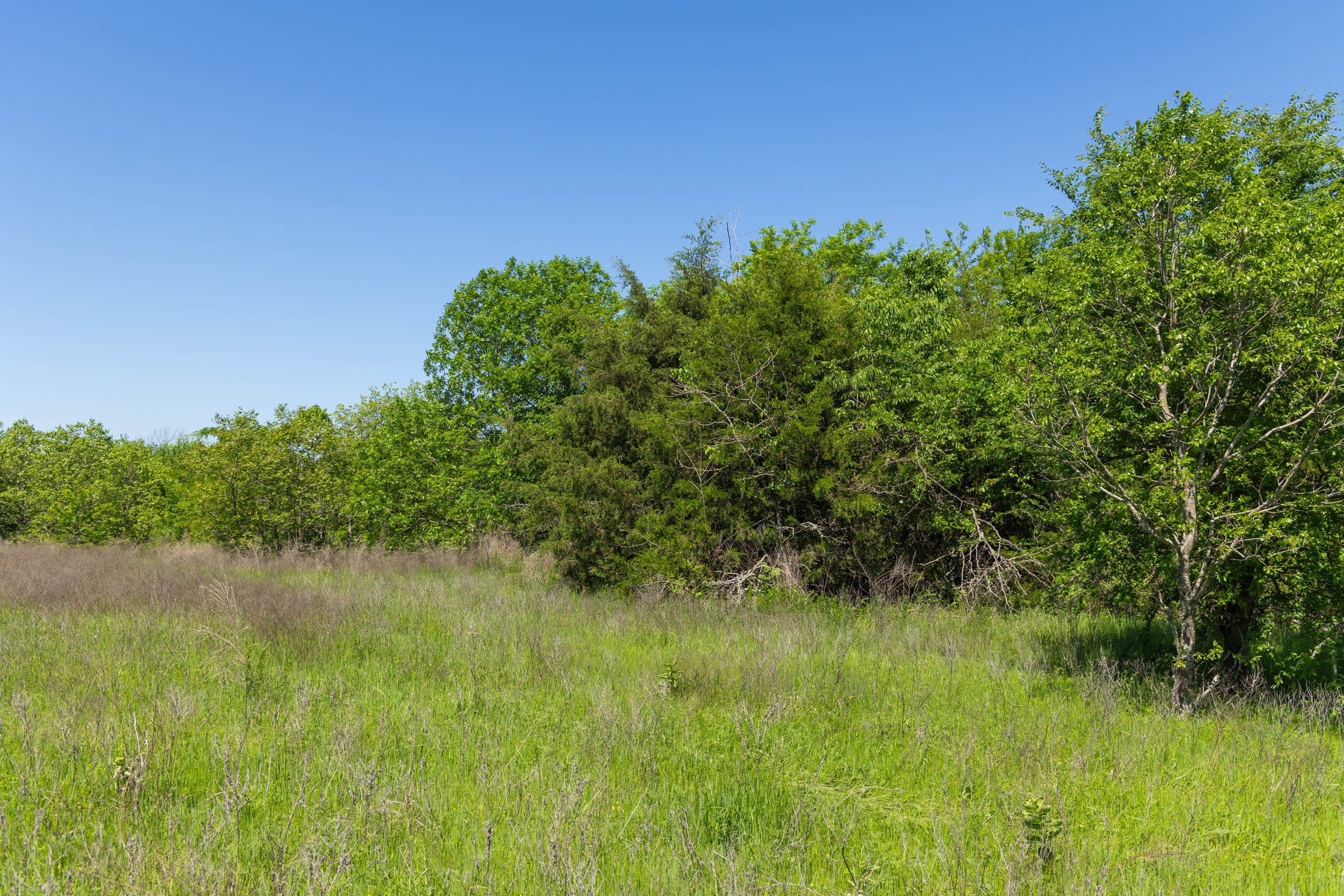 Harmony Hills Tract 35 photo 17
