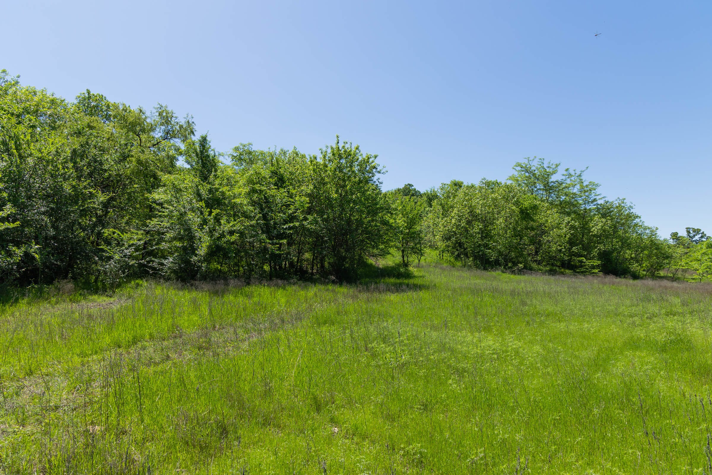 Harmony Hills Tract 35 photo 15