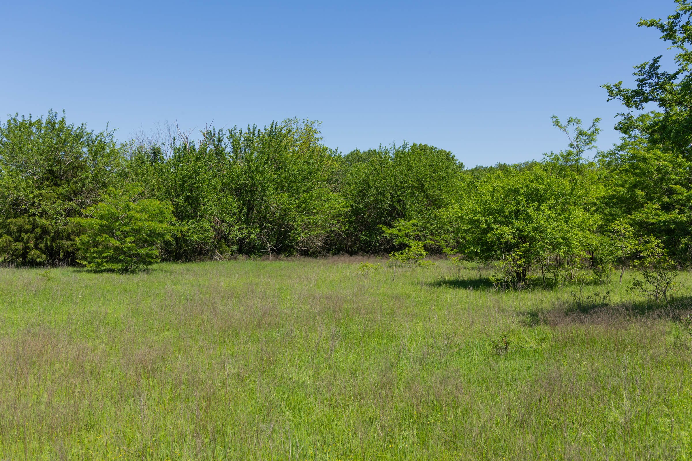 Harmony Hills Tract 35 photo 5