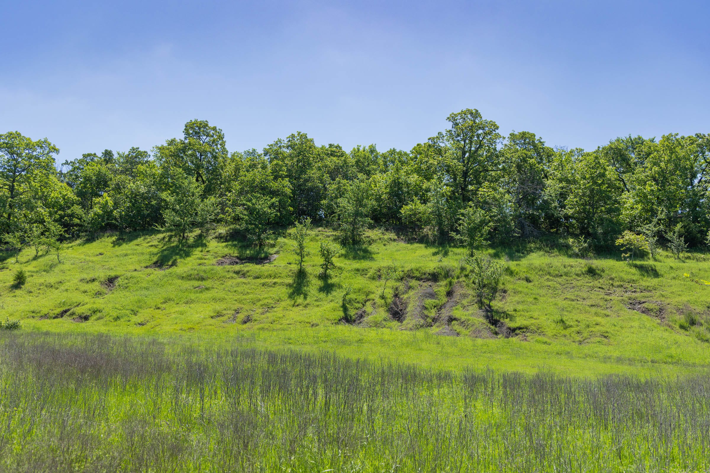 Harmony Hills Tract 35 photo 7