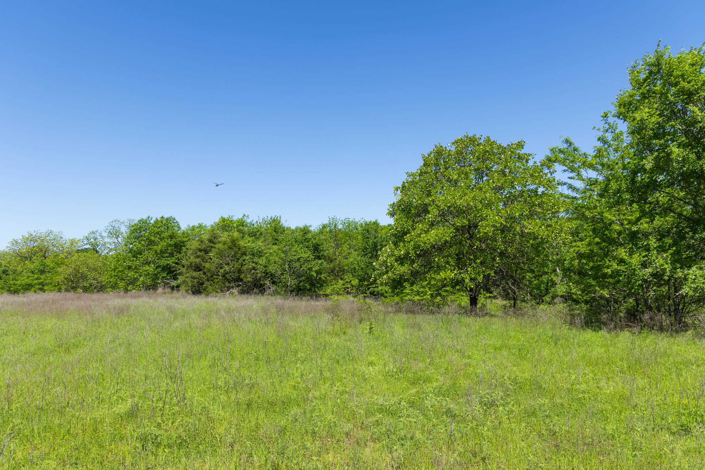 Harmony Hills Tract 35 photo 14