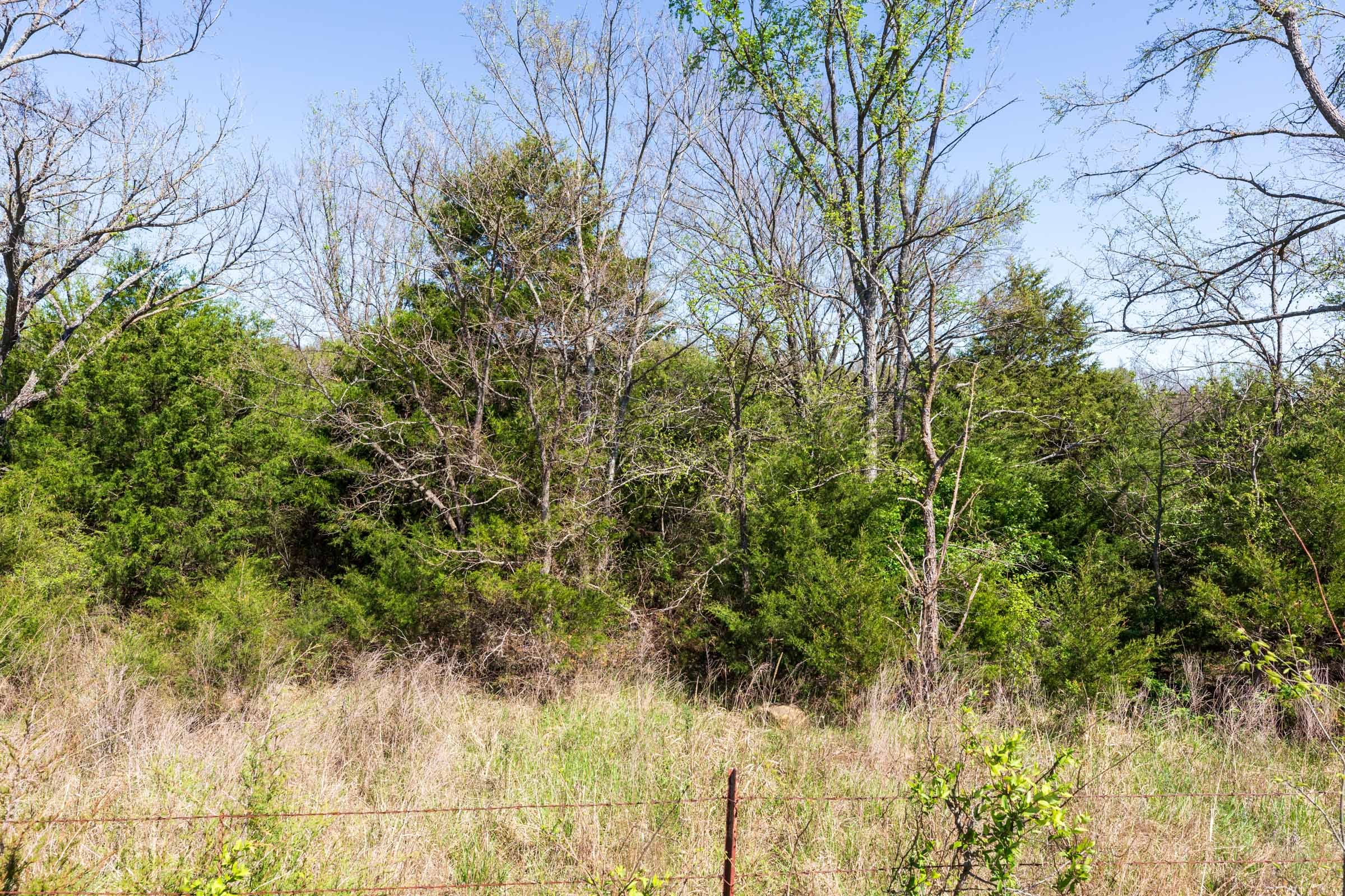 Prairie Grove Tract 8 photo 3
