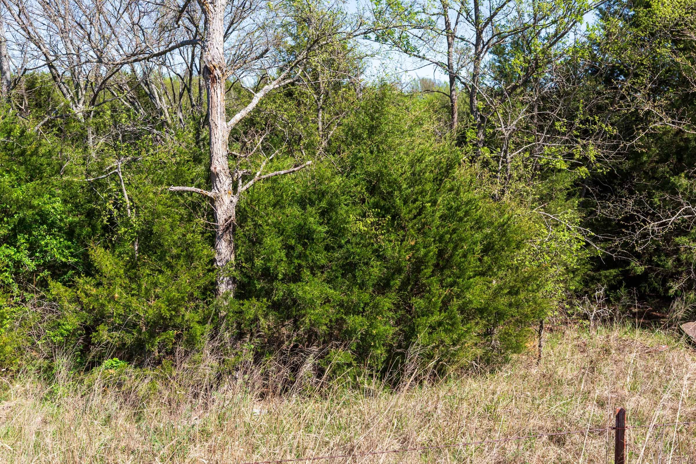 Prairie Grove Tract 8 photo 6