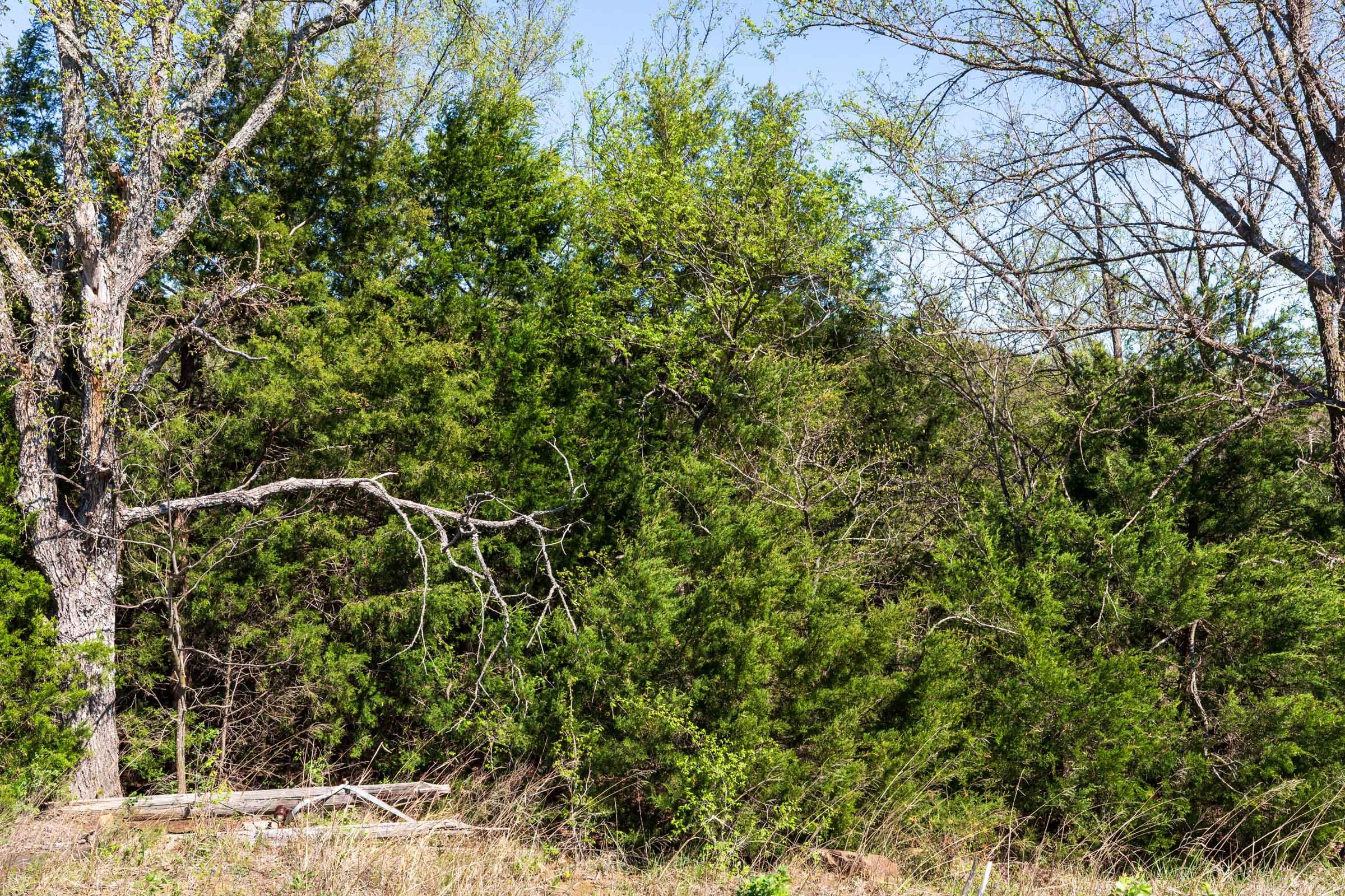 Prairie Grove Tract 8 photo 10