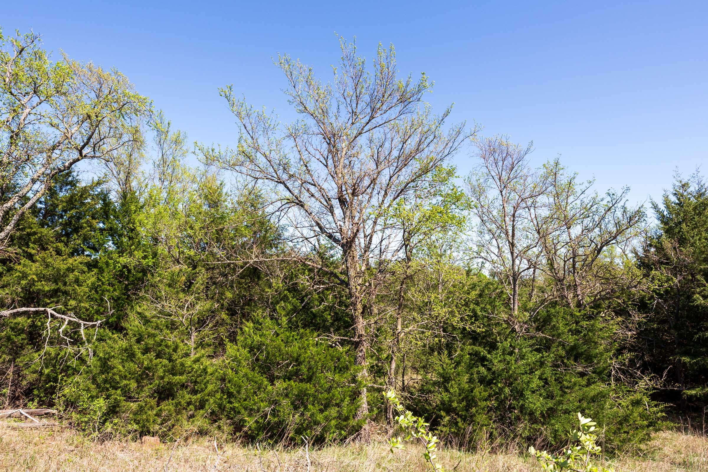 Prairie Grove Tract 8 photo 11