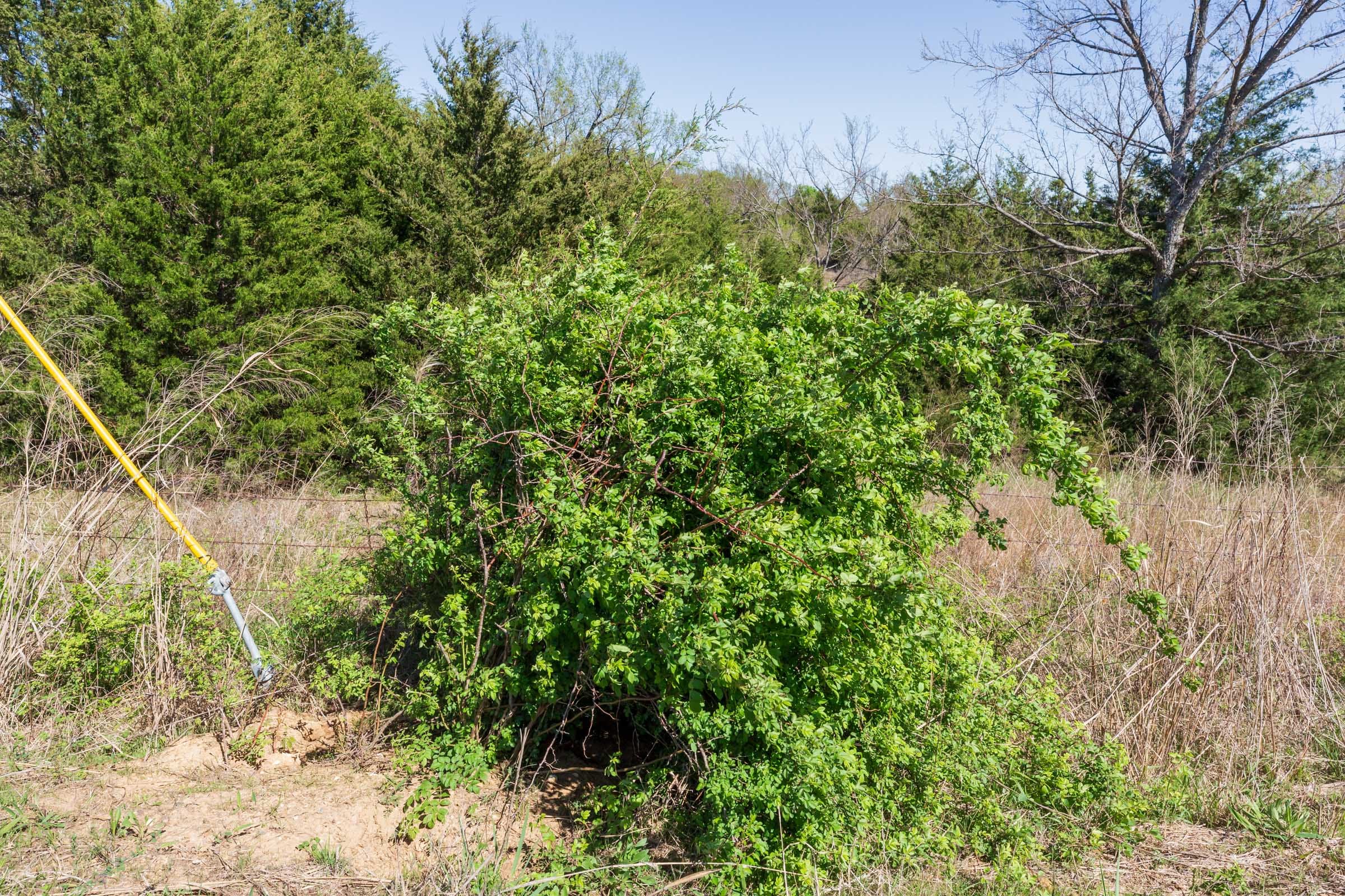 Prairie Grove Tract 8 photo 5
