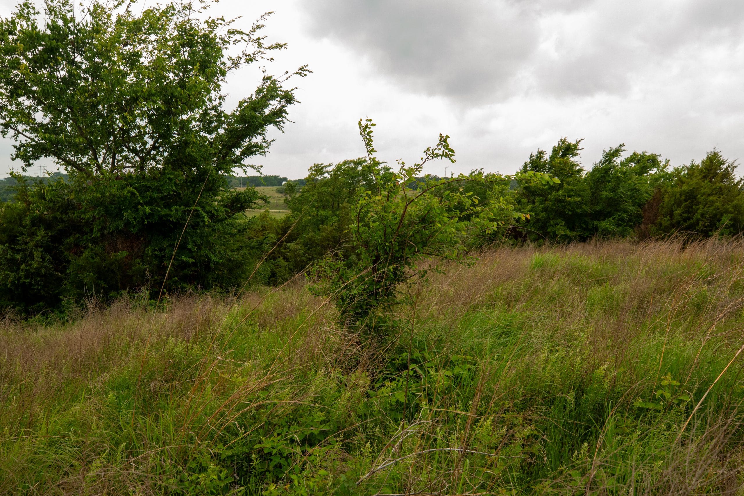 Prairie Grove Tract 8 photo 14