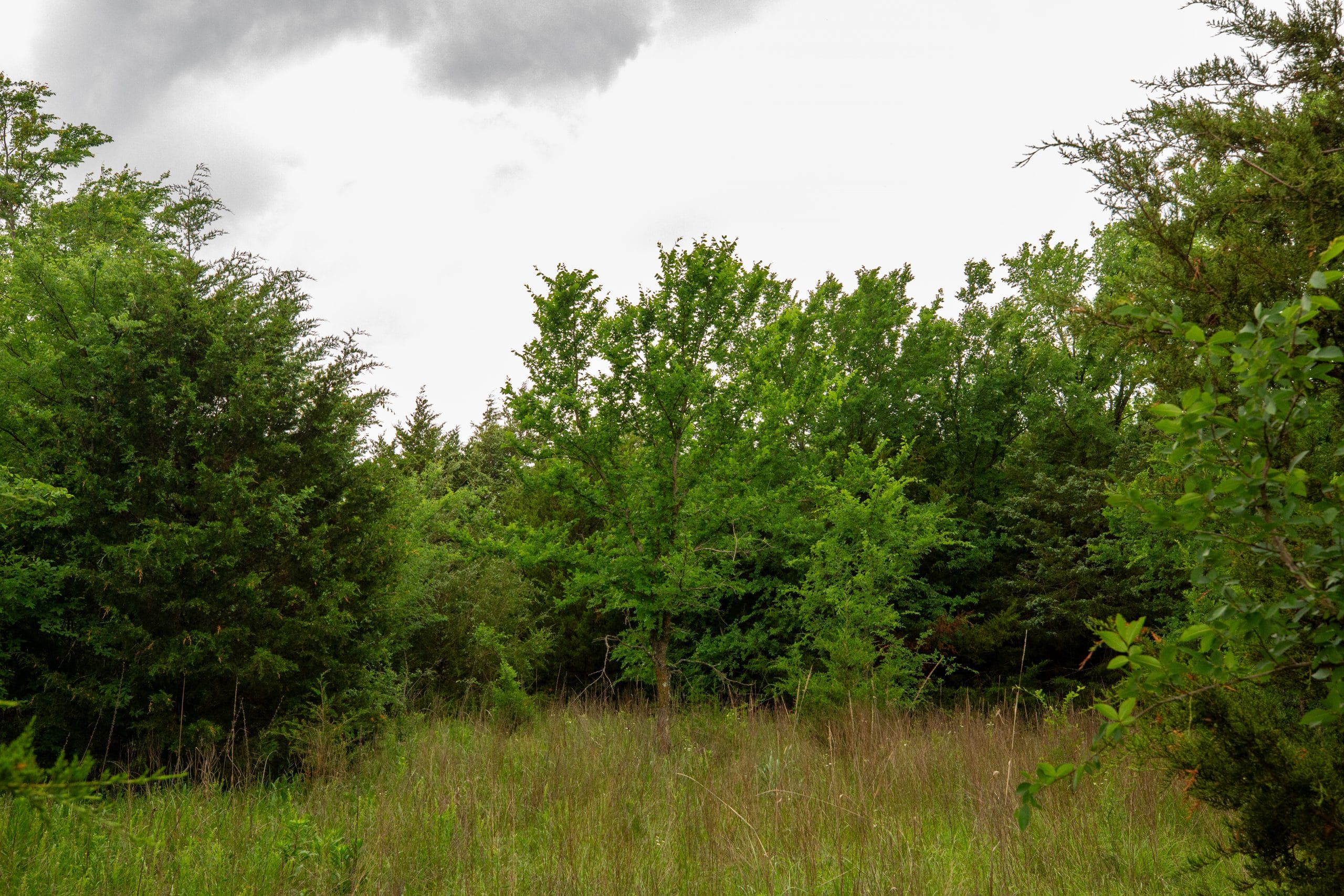 Prairie Grove Tract 8 photo 9