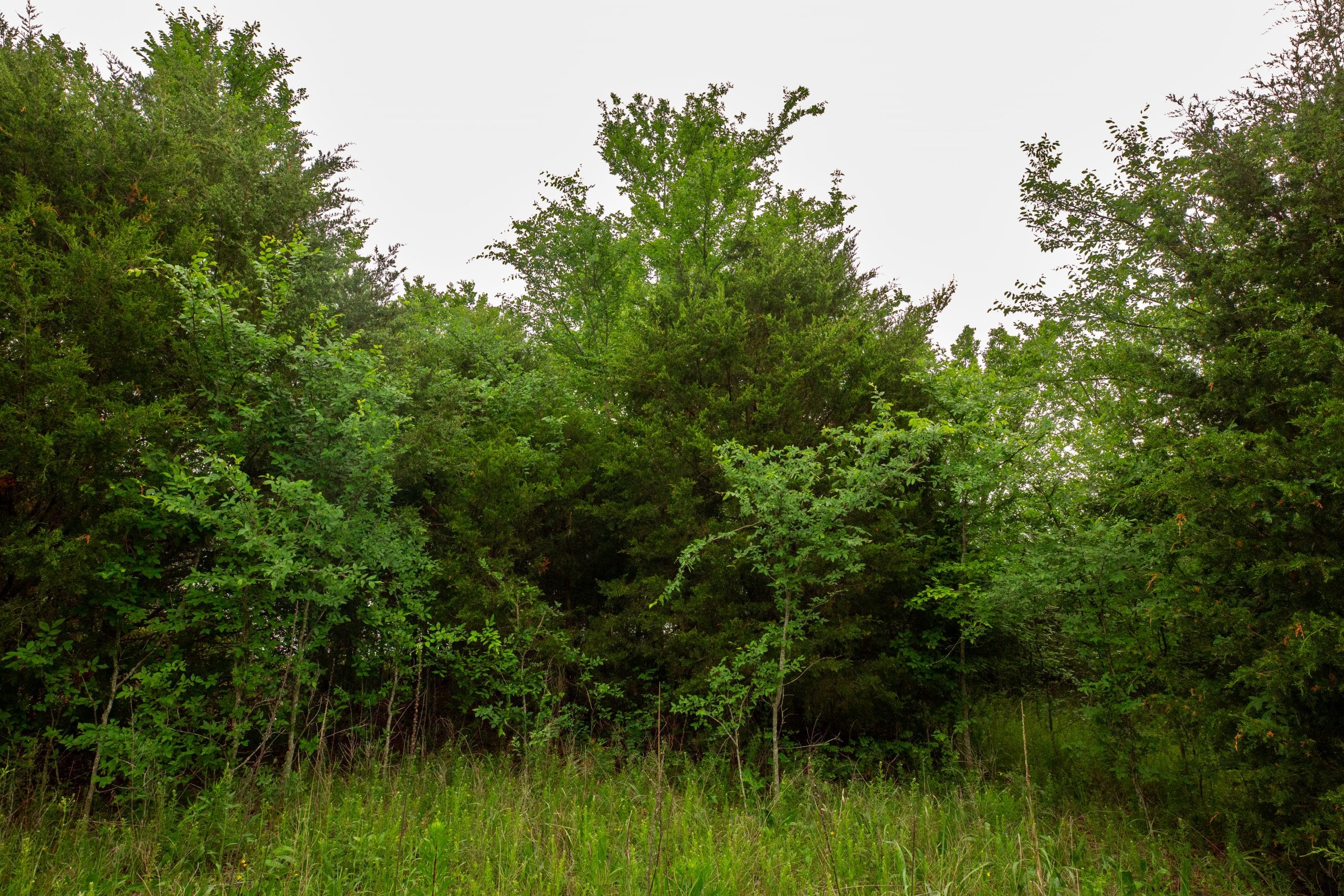 Prairie Grove Tract 8 photo 7