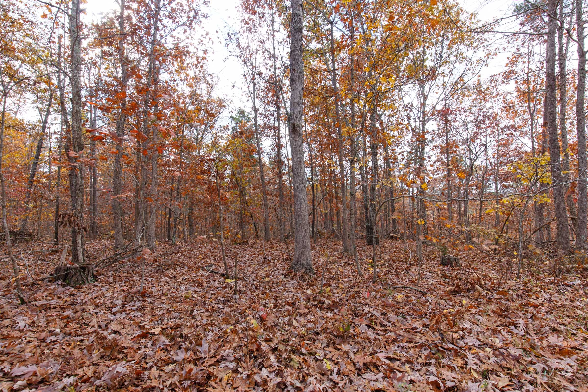 Hawkcrest Tract 39 photo 2