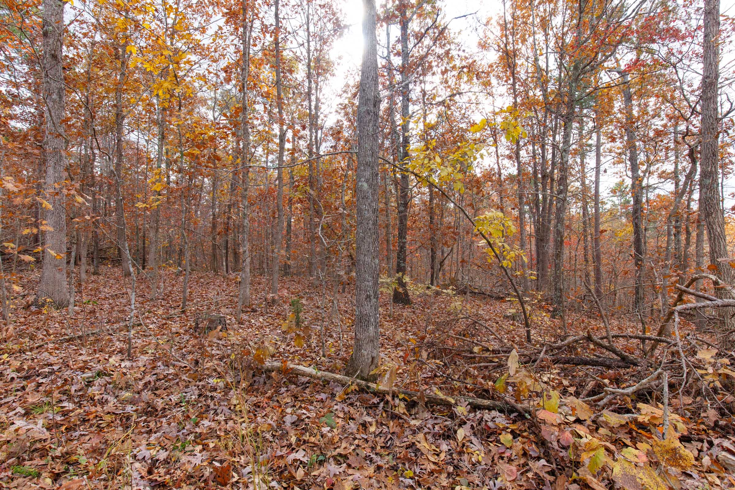 Hawkcrest Tract 39 photo 3