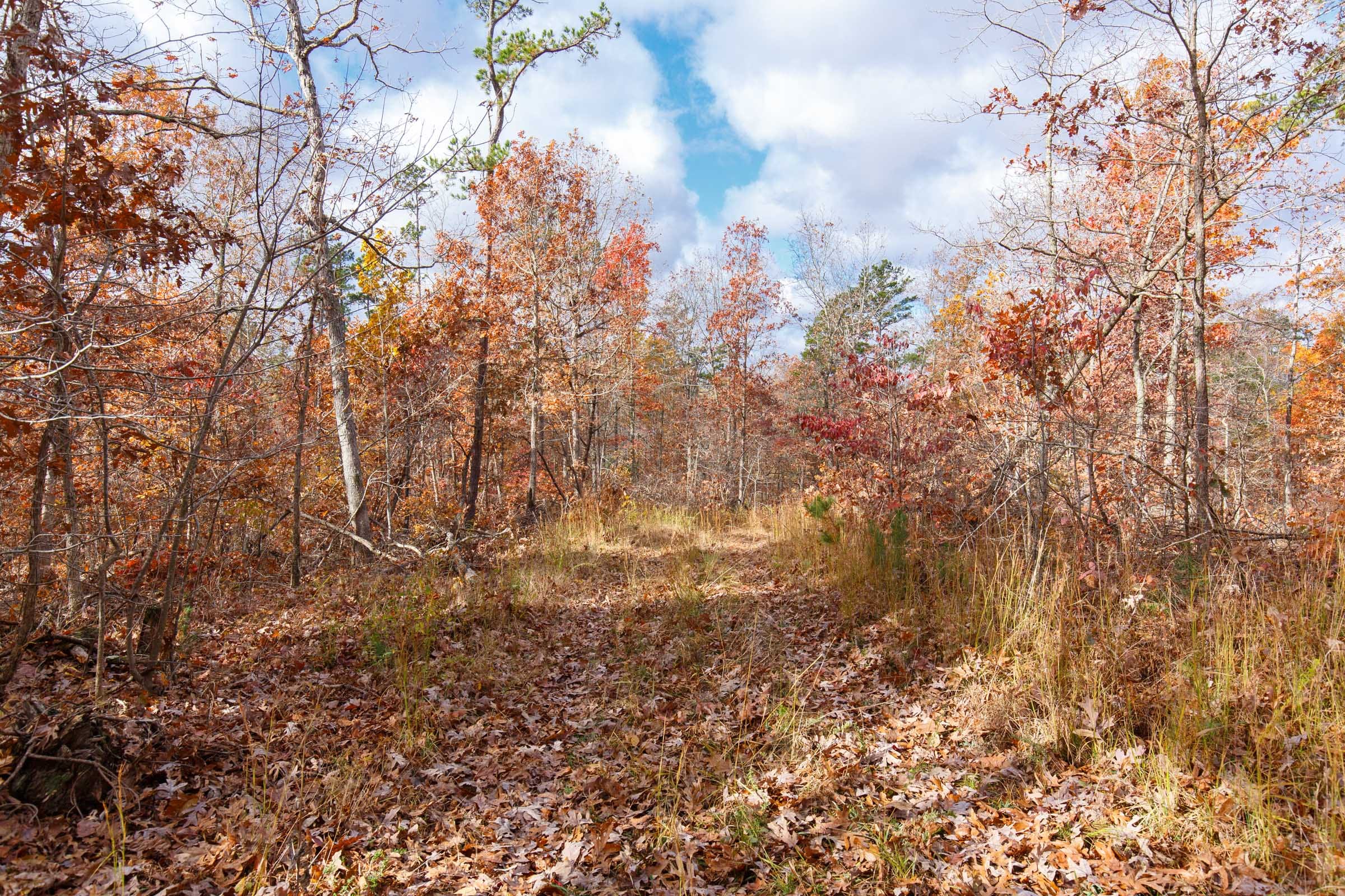 Hawkcrest Tract 39 photo 8