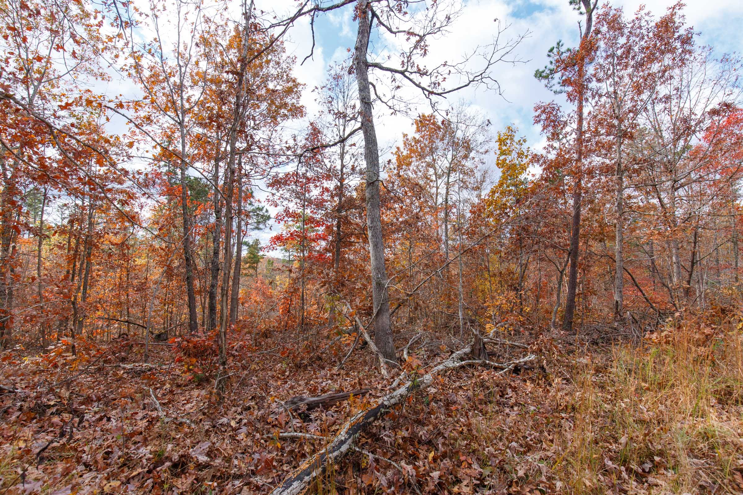 Hawkcrest Tract 39 photo 4
