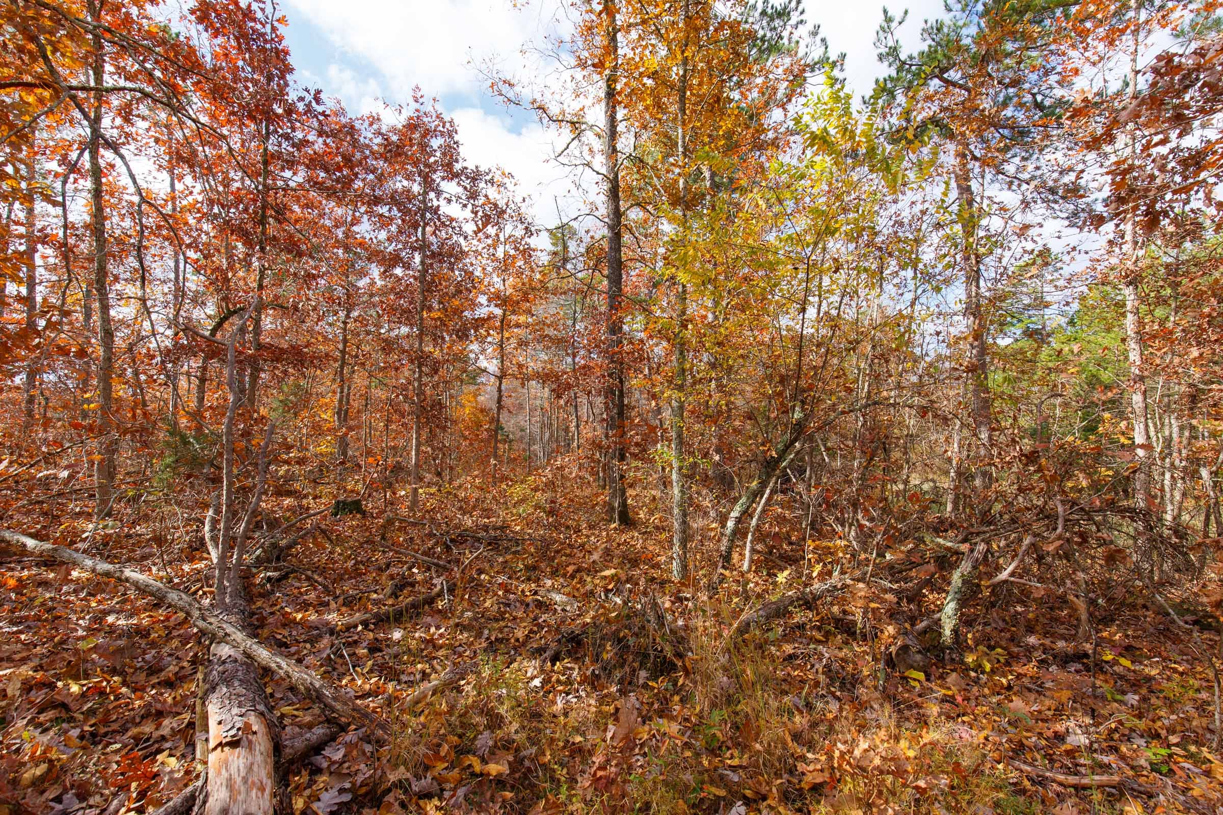 Hawkcrest Tract 39 photo 5