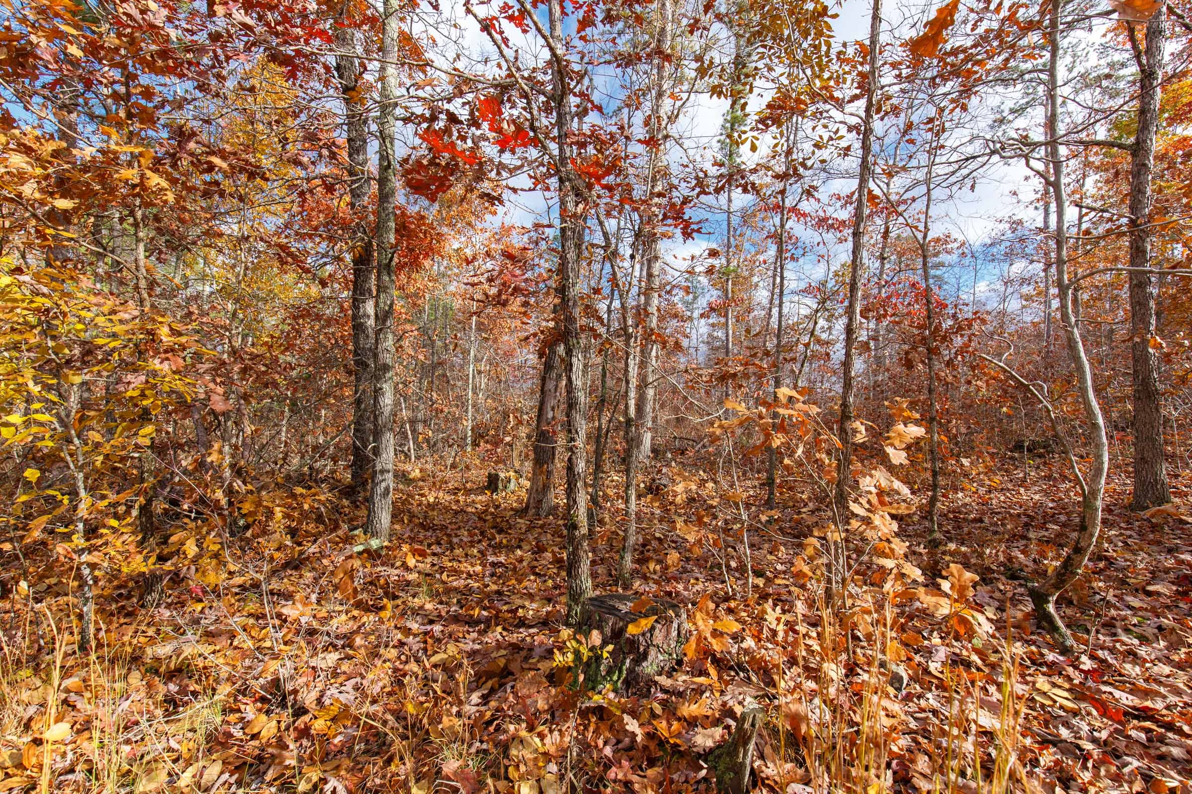 Hawkcrest Tract 39 photo 6