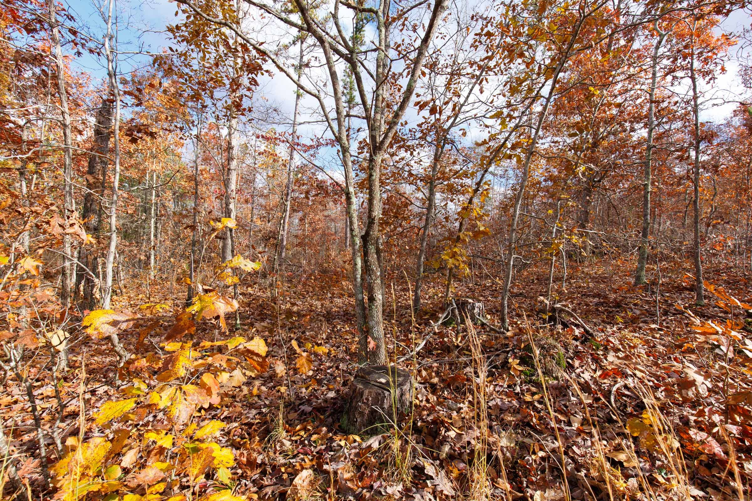 Hawkcrest Tract 39 photo 7