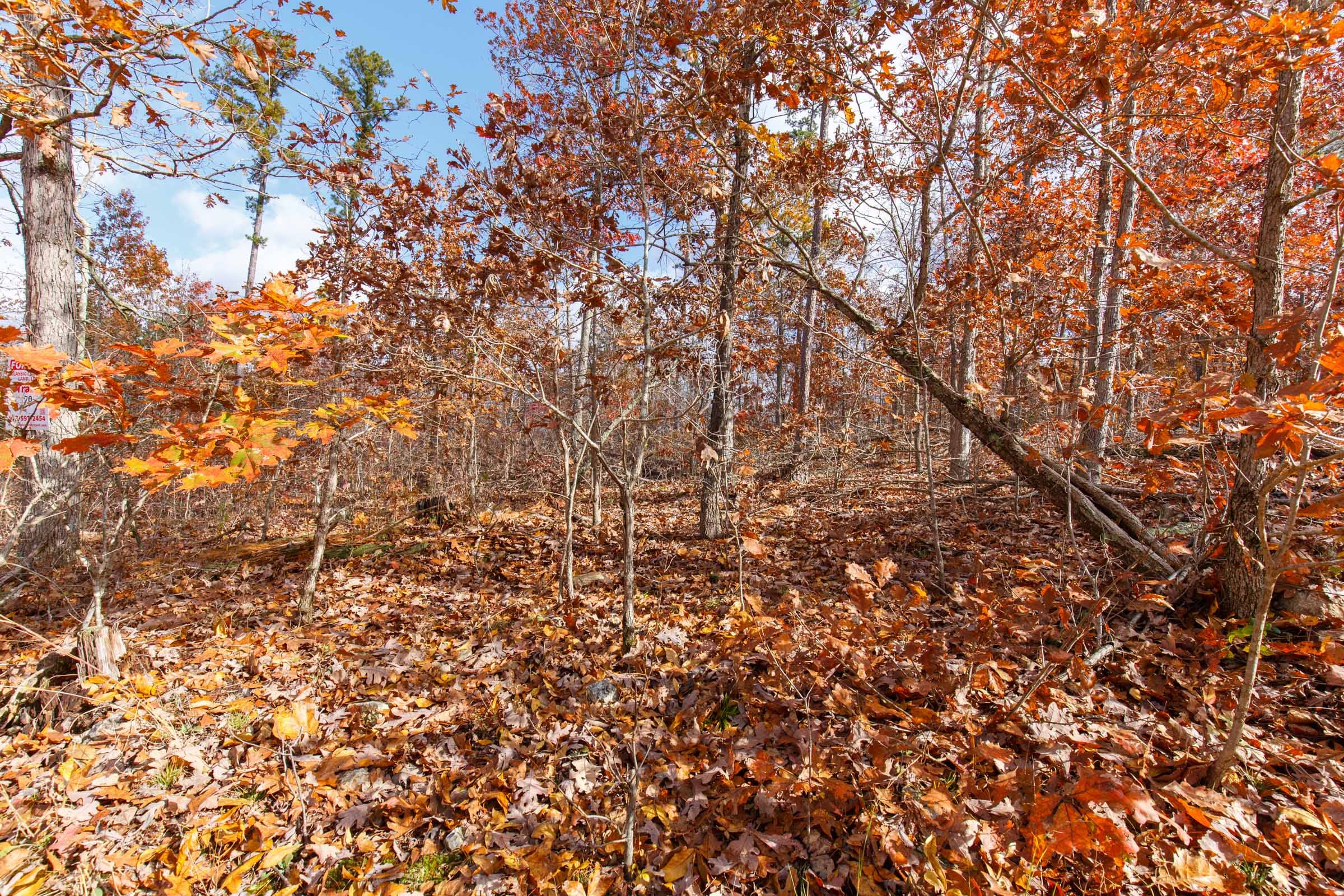 Hawkcrest Tract 39 photo 9