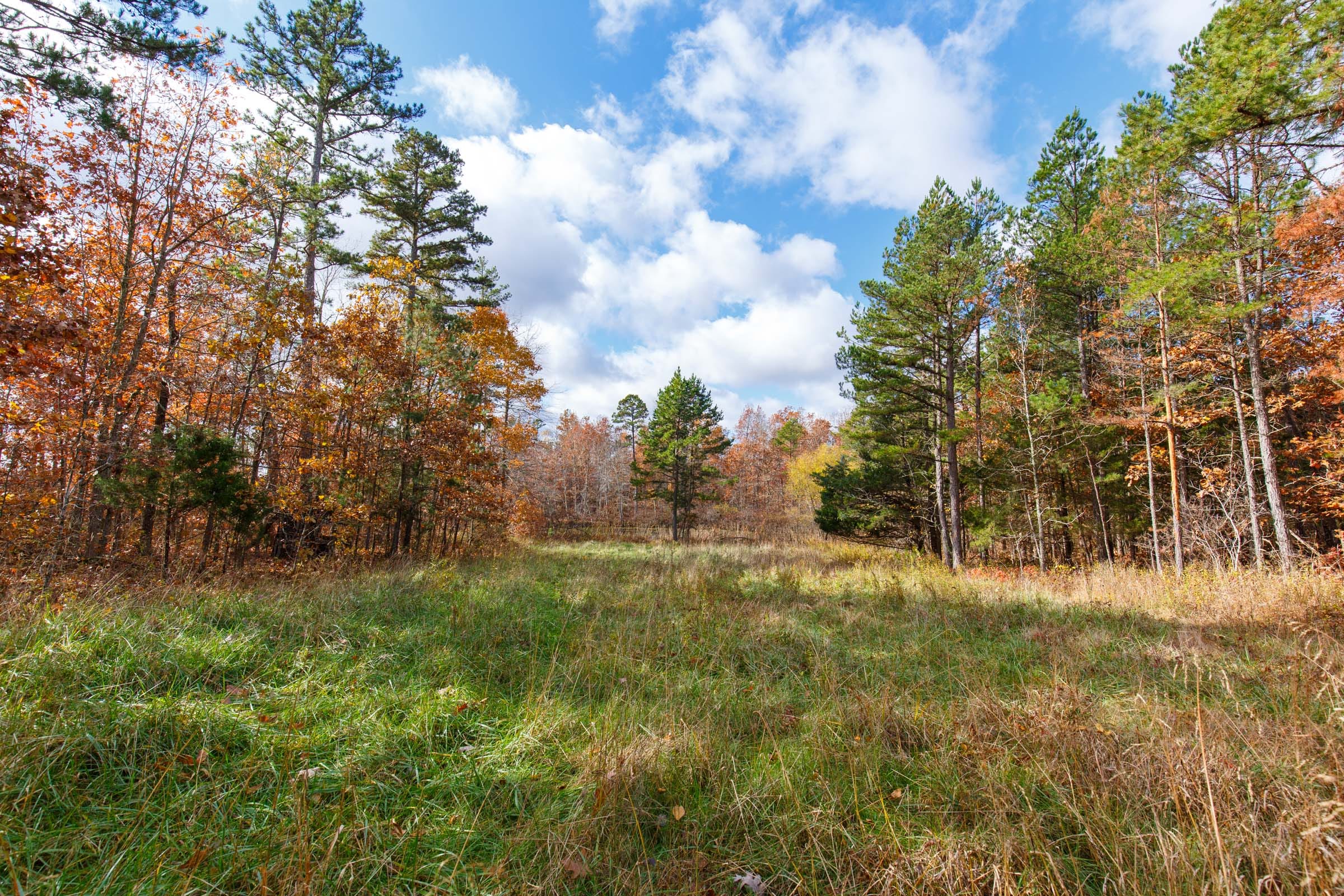 Hawkcrest Tract 39 photo 11