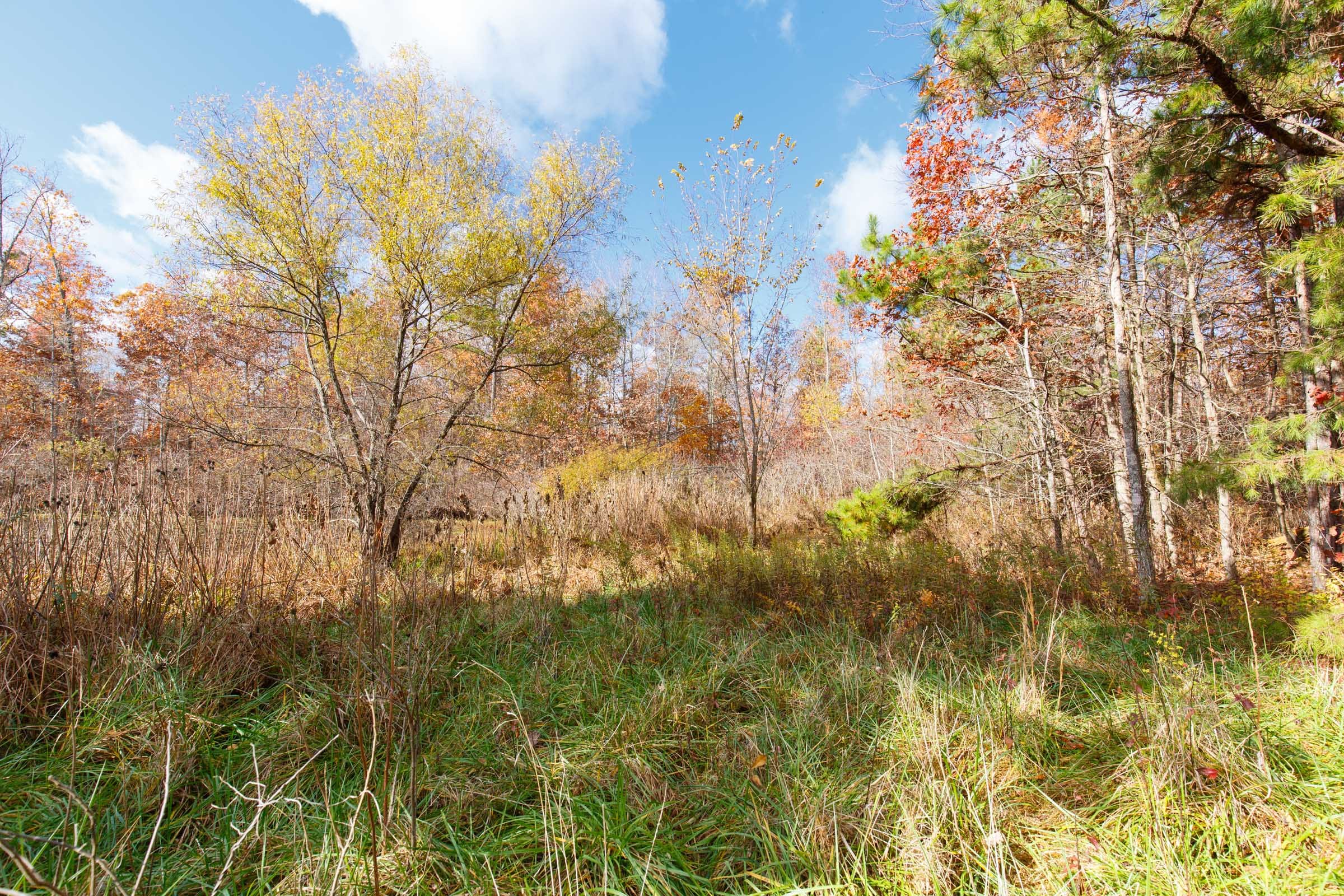 Hawkcrest Tract 39 photo 12