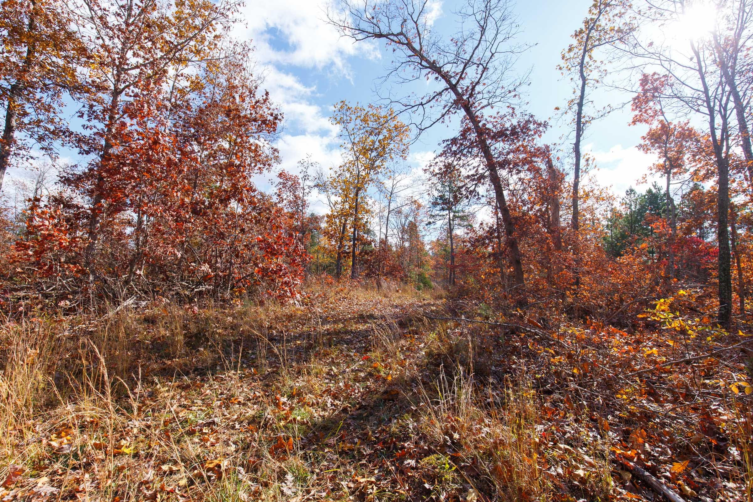 Hawkcrest Tract 39 photo 10