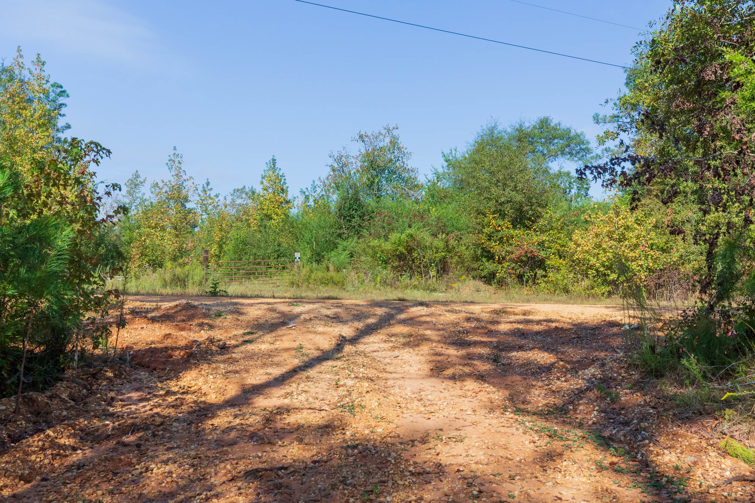 Willow Grove Tract 4 photo 8