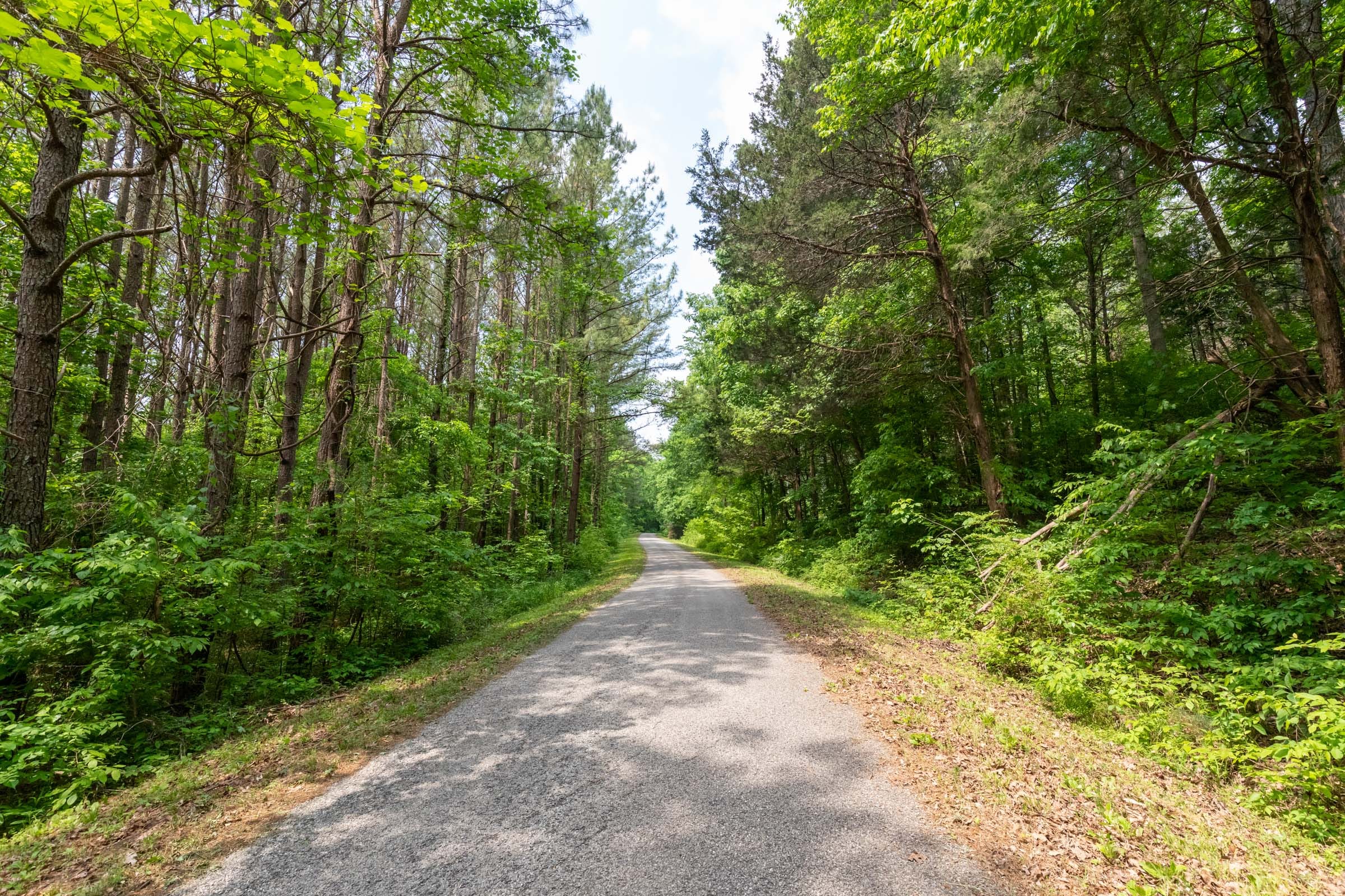 Cedar Creek Tract 41 photo 1