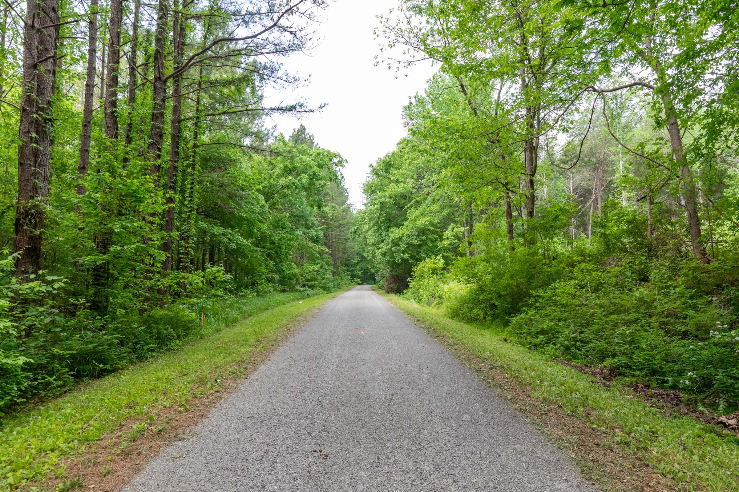 Cedar Creek Tract 41 photo 6