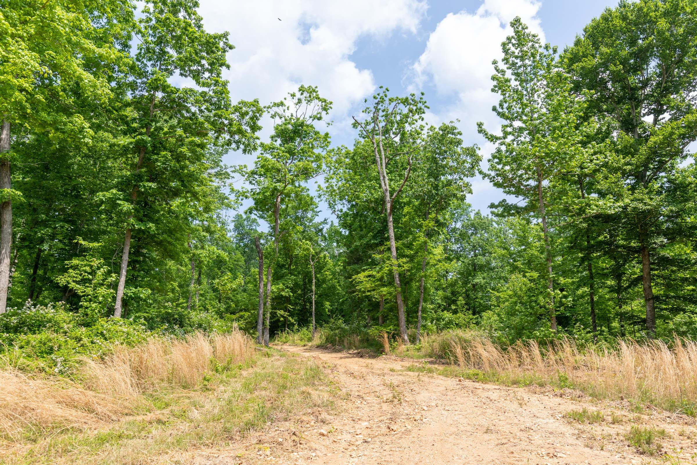 Cedar Creek Tract 41 photo 11