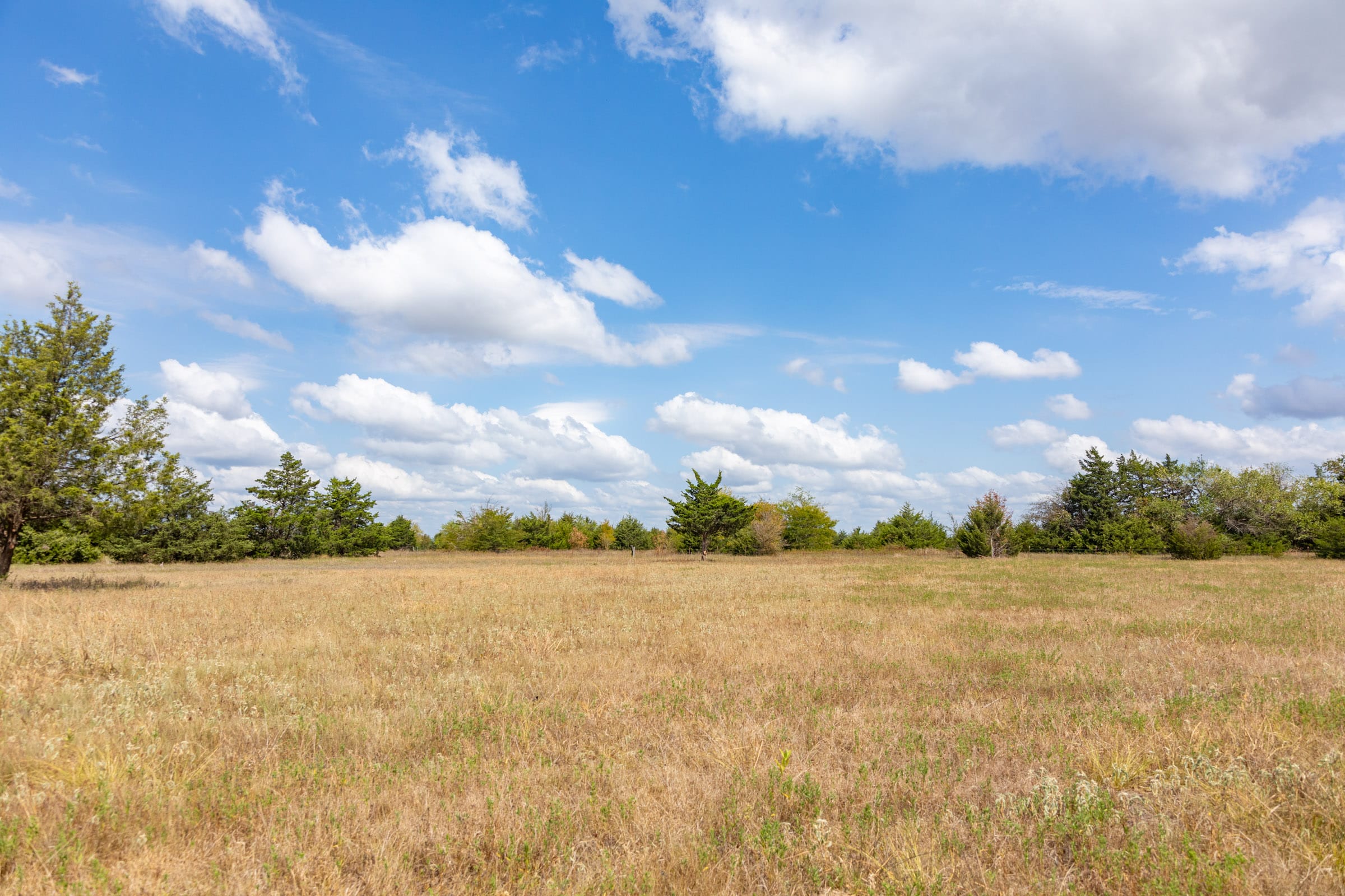 Wildflower Reserve Tract 5 photo 3