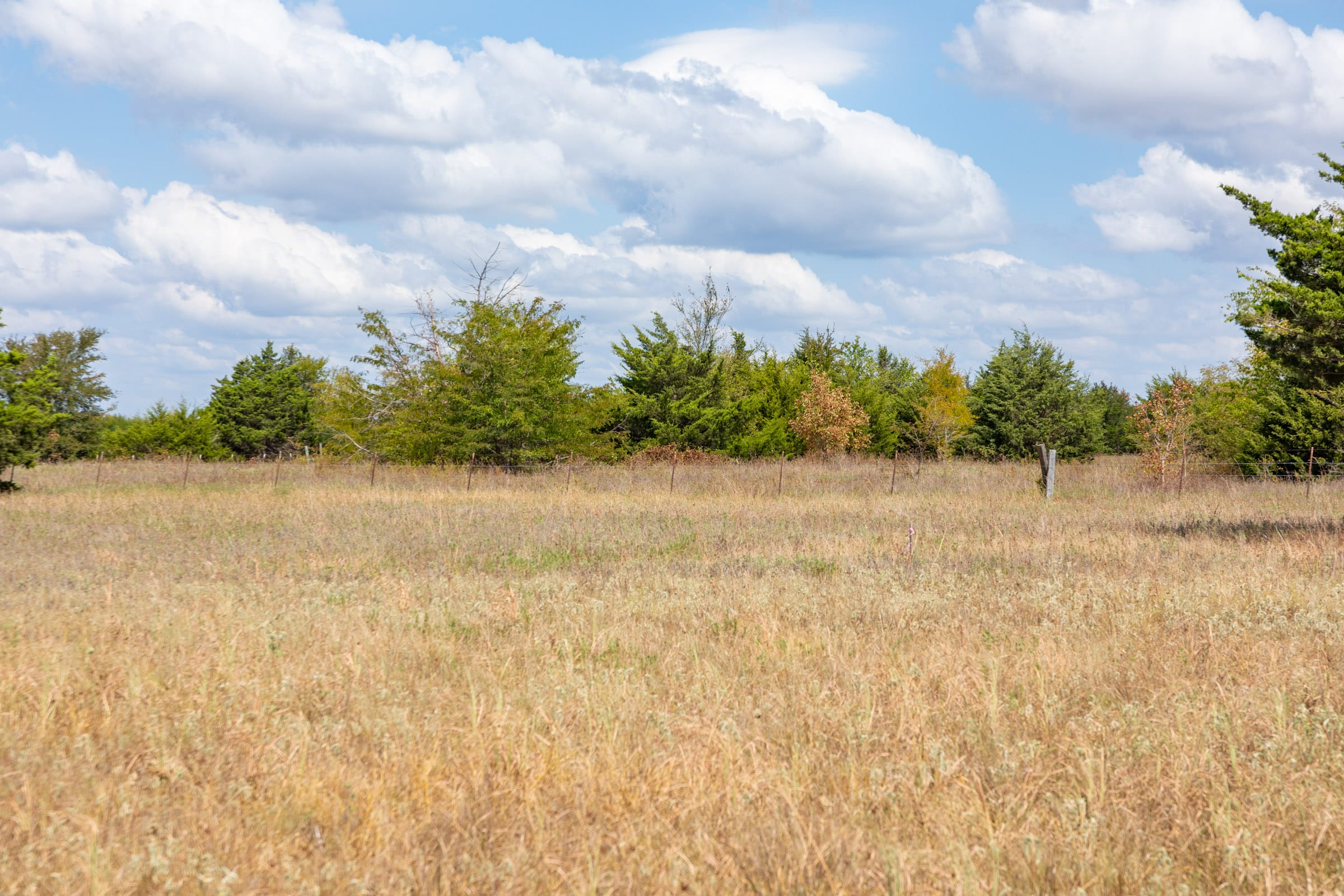 Wildflower Reserve Tract 5 photo 4