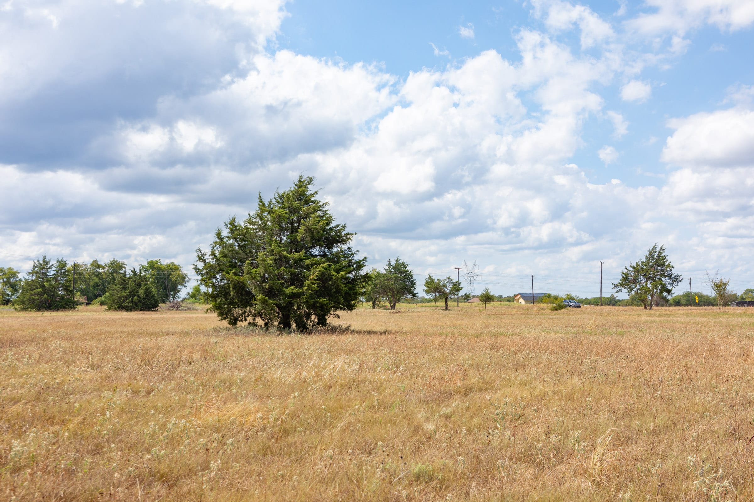 Wildflower Reserve Tract 5 photo 5
