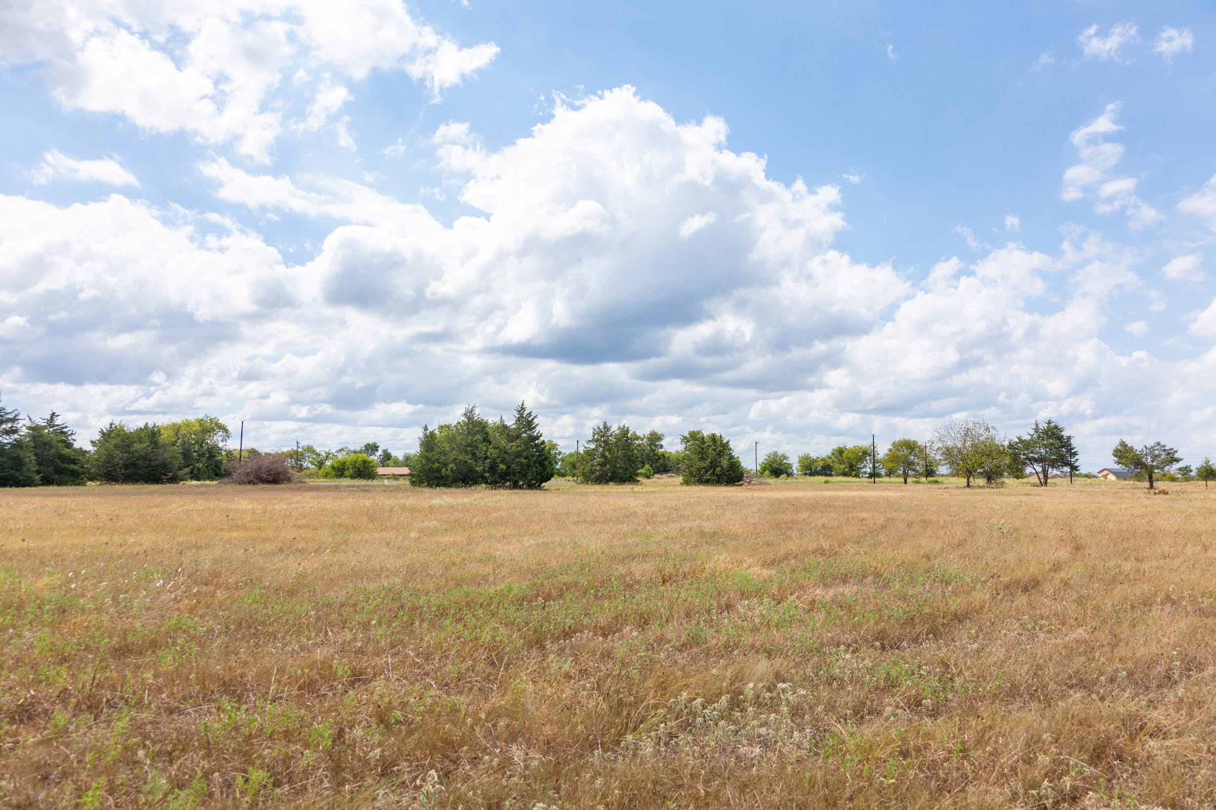 Wildflower Reserve Tract 5 photo 6