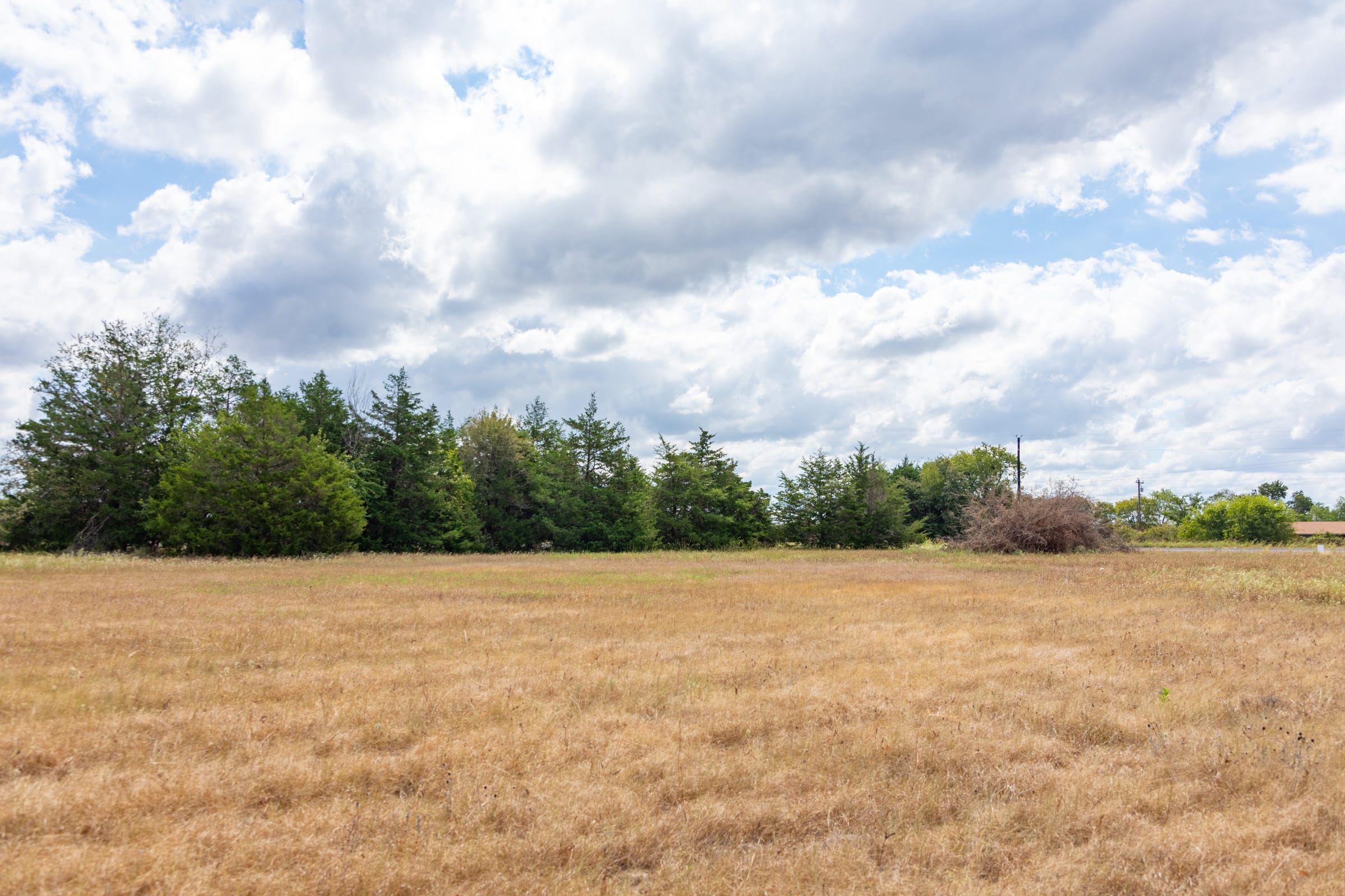 Wildflower Reserve Tract 5 photo 7