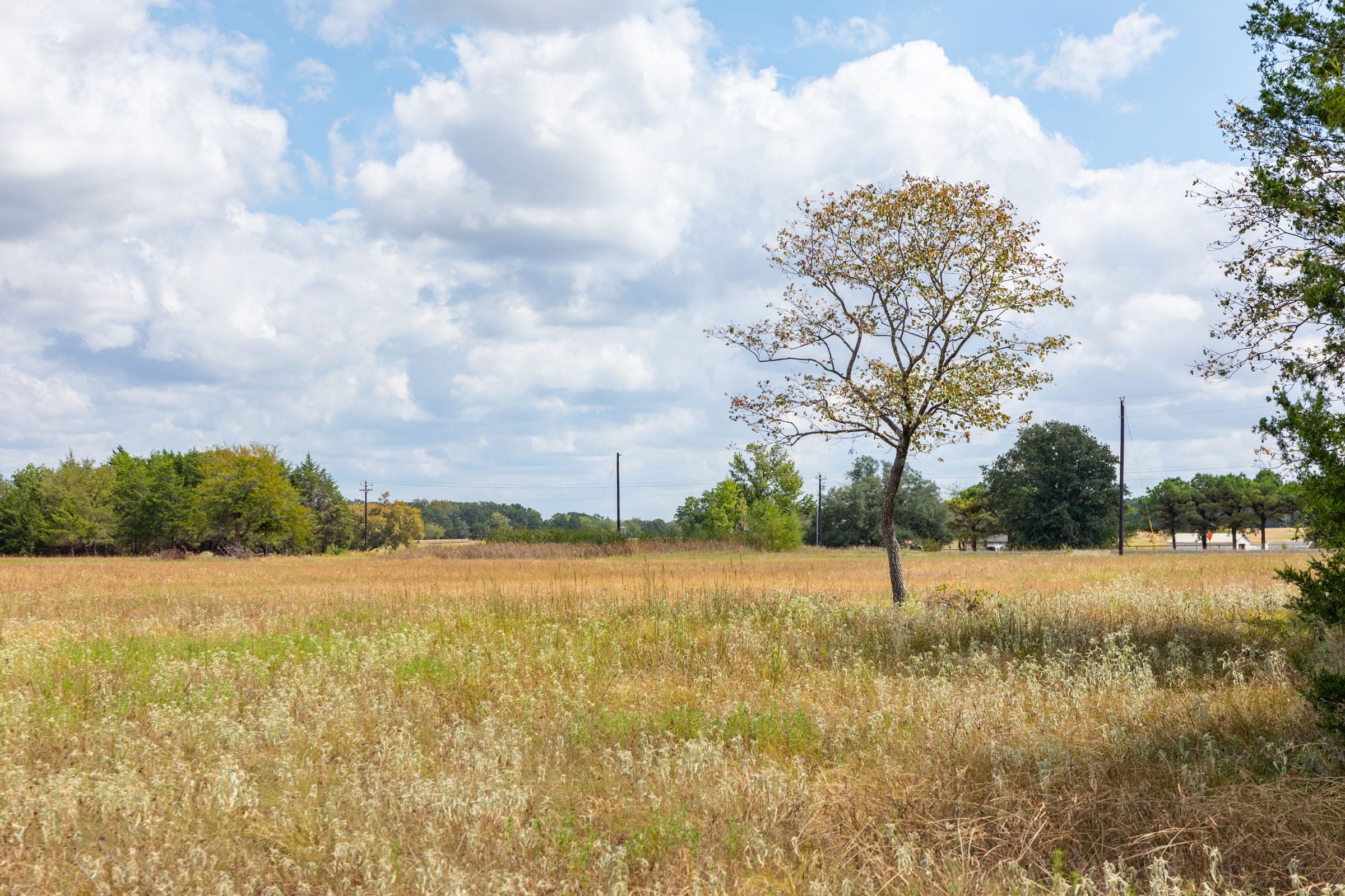 Wildflower Reserve Tract 5 photo 8