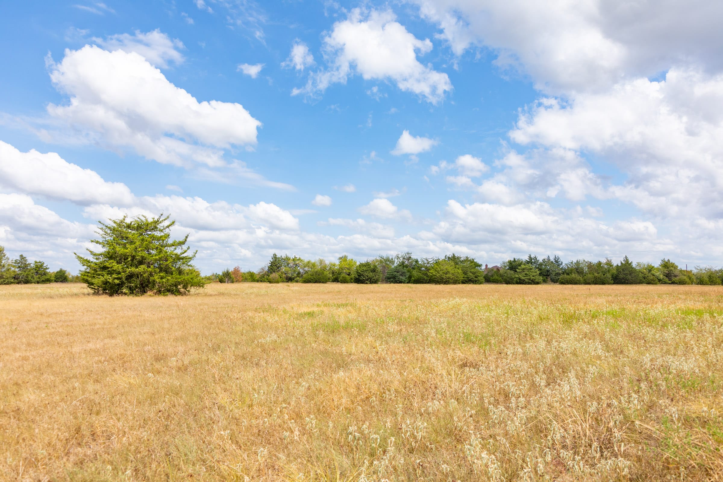 Wildflower Reserve Tract 5 photo 9