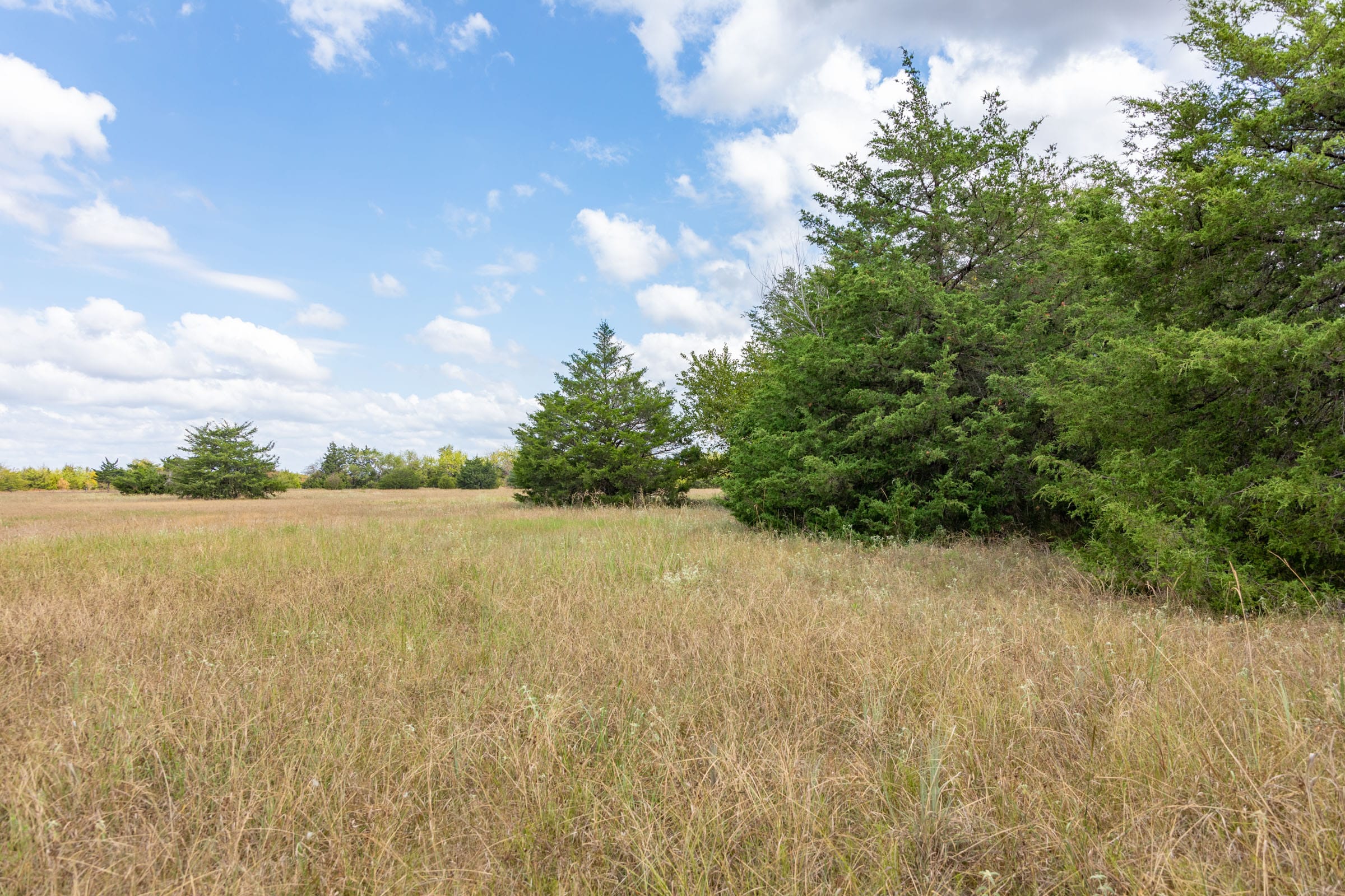 Wildflower Reserve Tract 5 photo 10