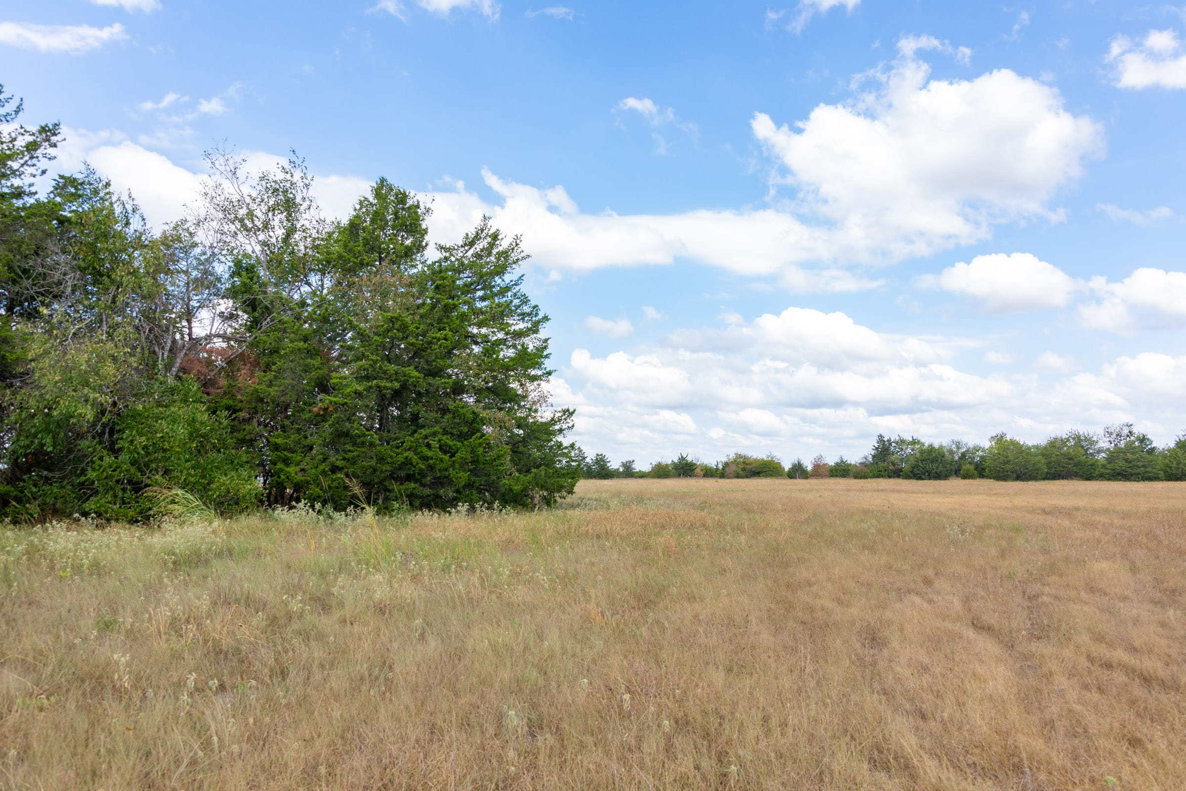 Wildflower Reserve Tract 5 photo 17