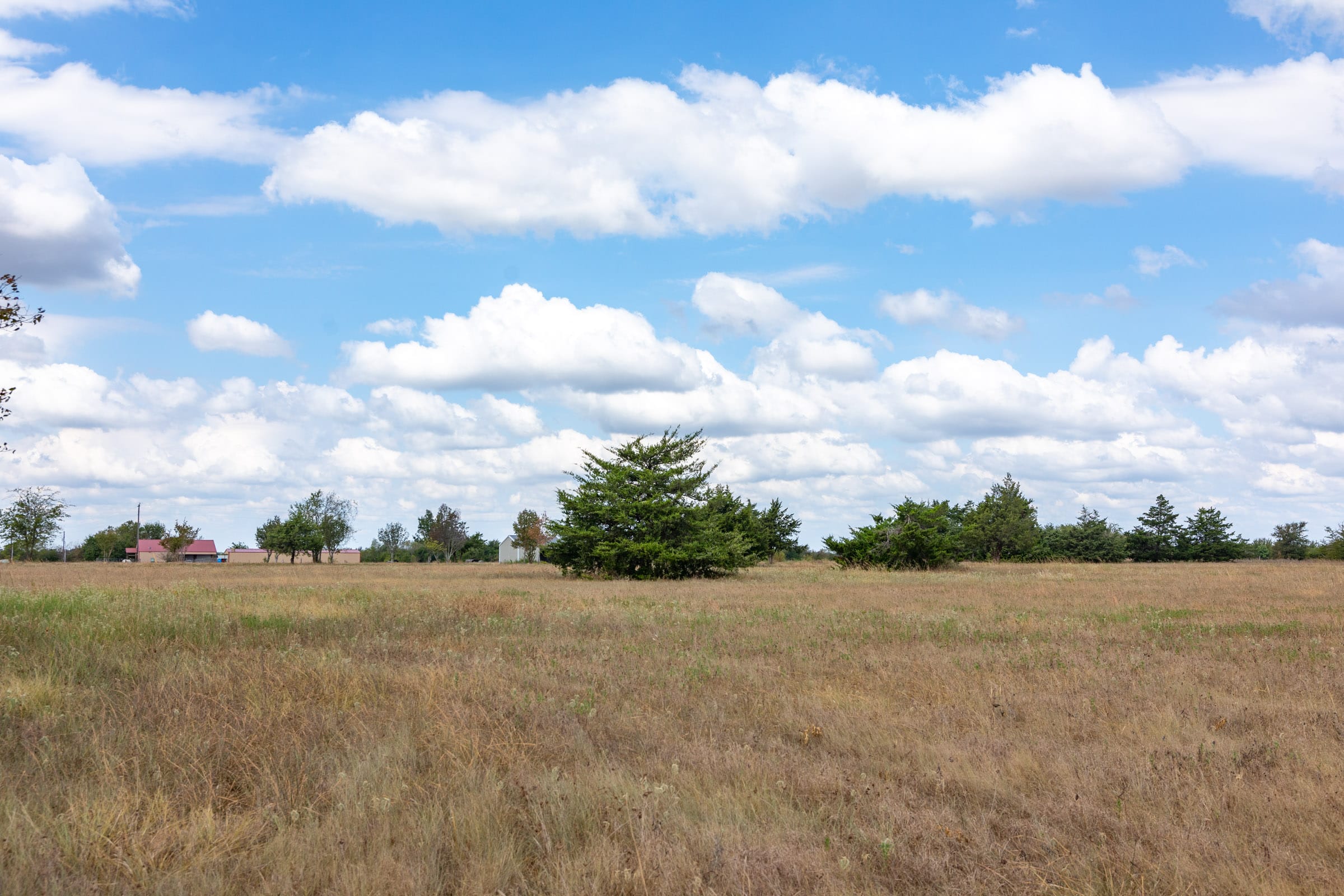 Wildflower Reserve Tract 5 photo 14