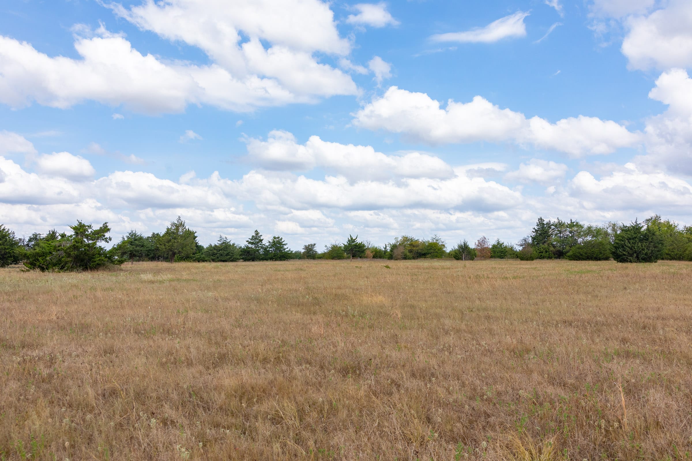Wildflower Reserve Tract 5 photo 16