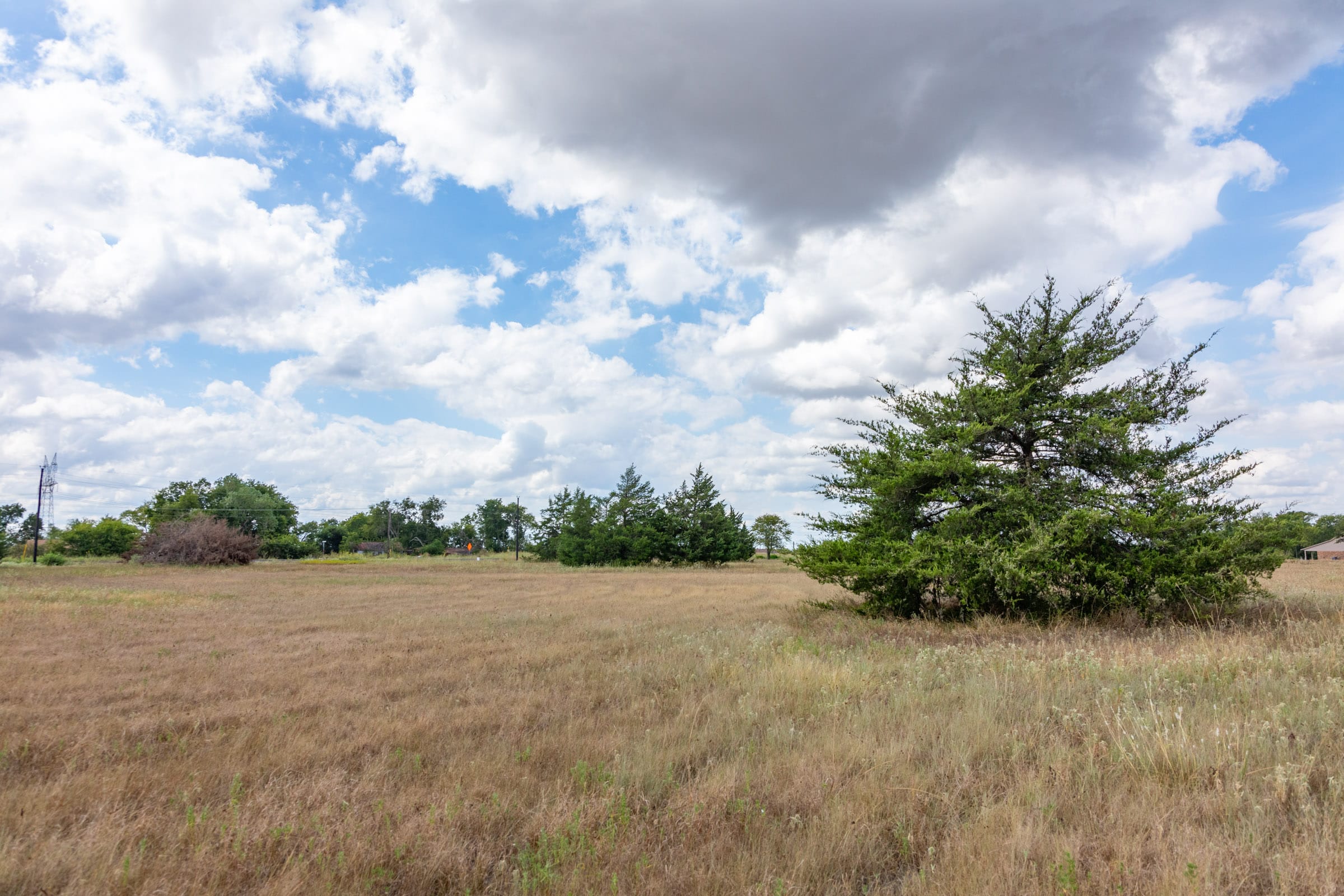 Wildflower Reserve Tract 5 photo 15