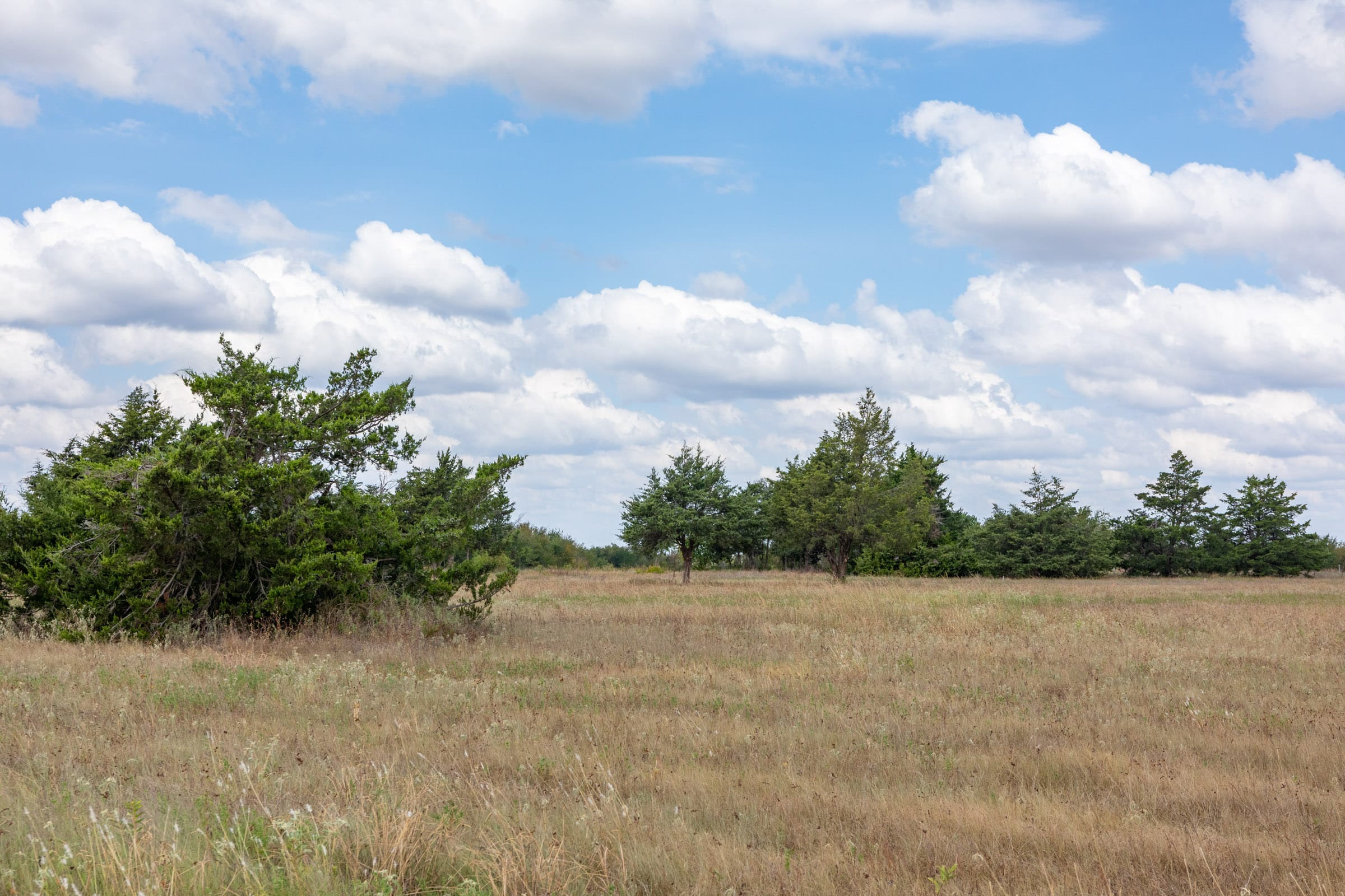 Wildflower Reserve Tract 5 photo 18