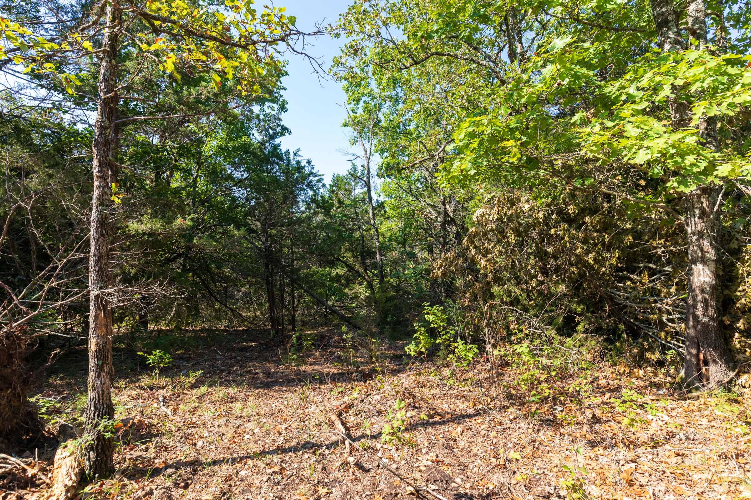 Heritage Bend Tract 17 photo 3