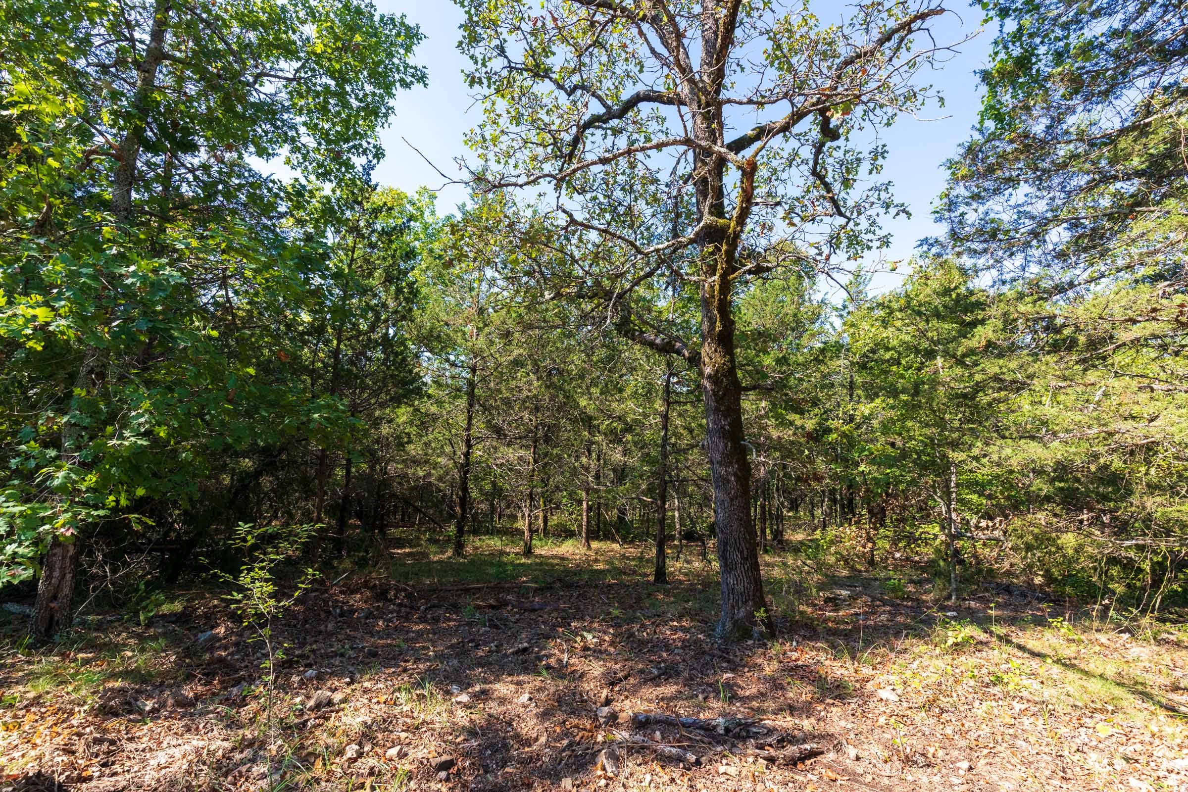 Heritage Bend Tract 17 photo 4