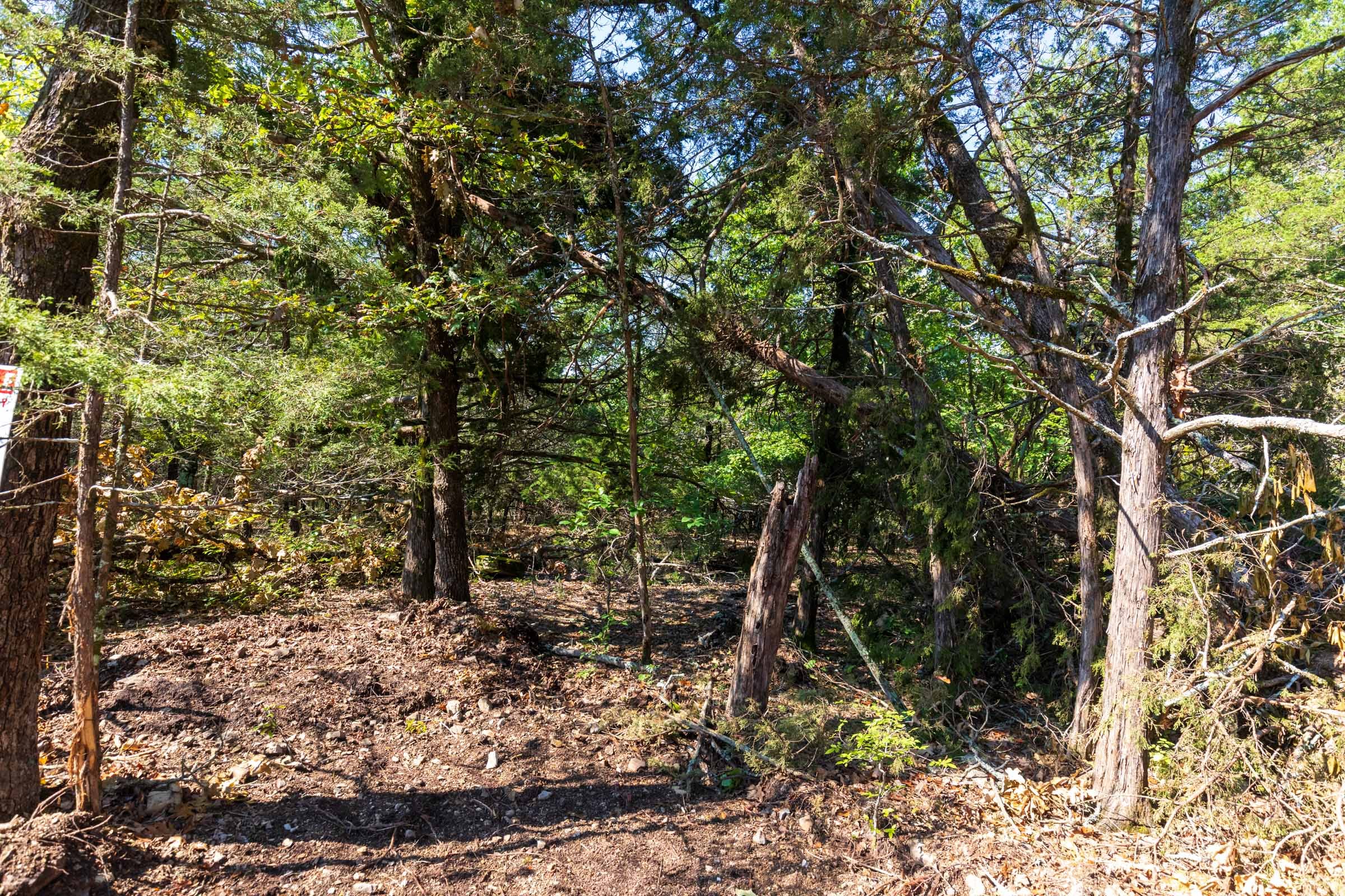 Heritage Bend Tract 17 photo 6