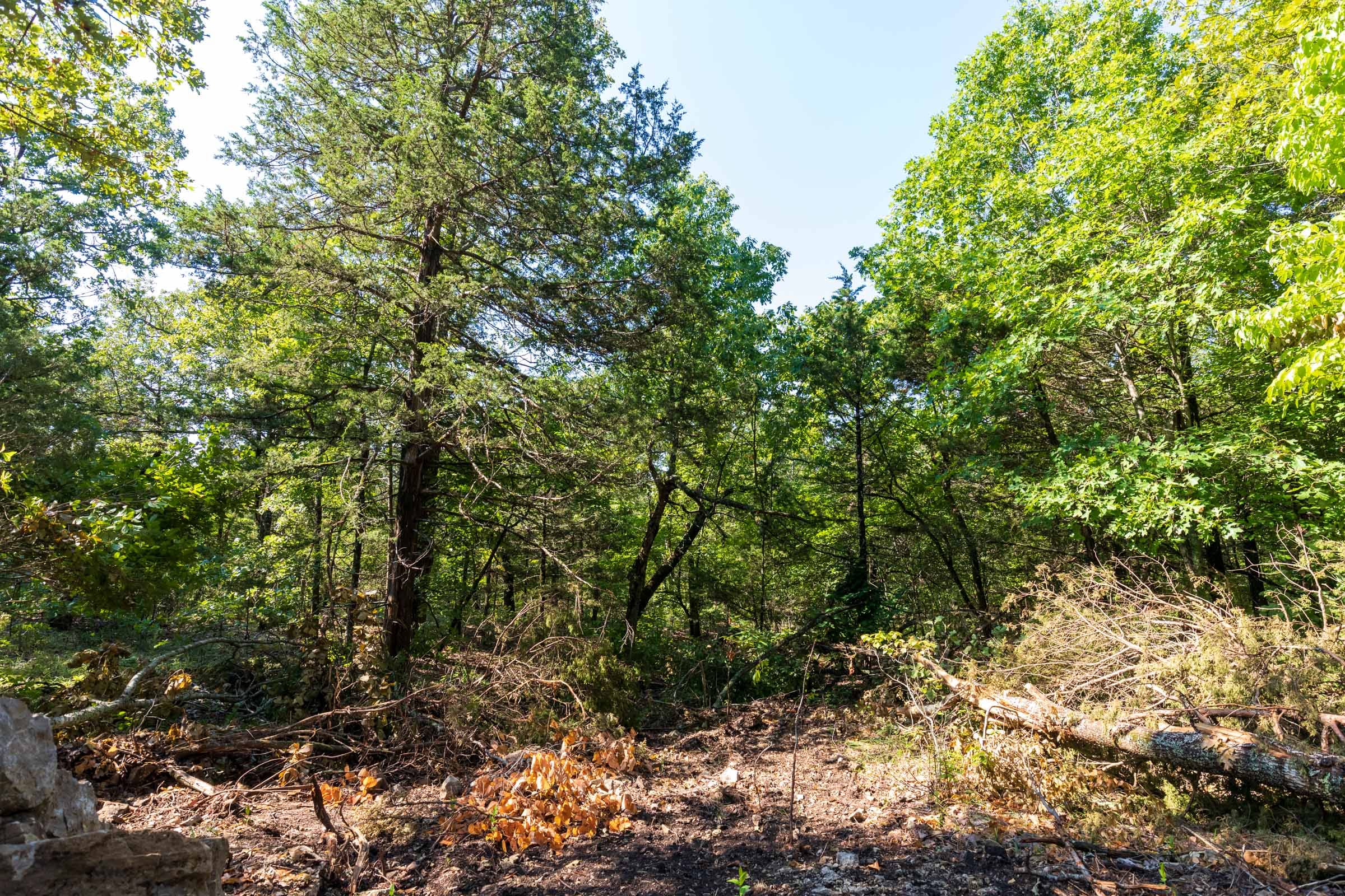 Heritage Bend Tract 17 photo 7