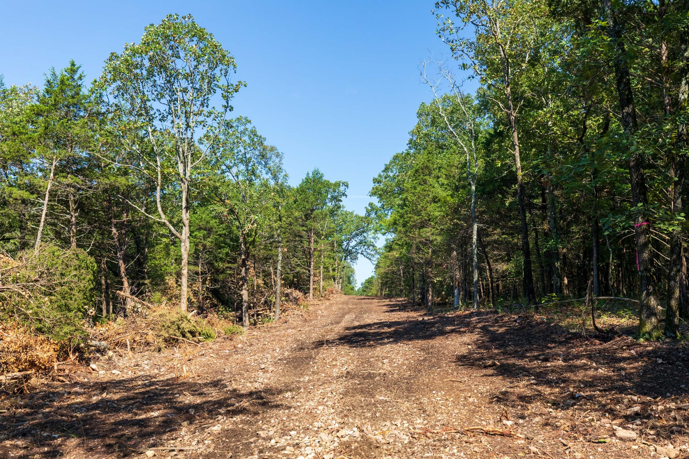 Heritage Bend Tract 17 photo 8
