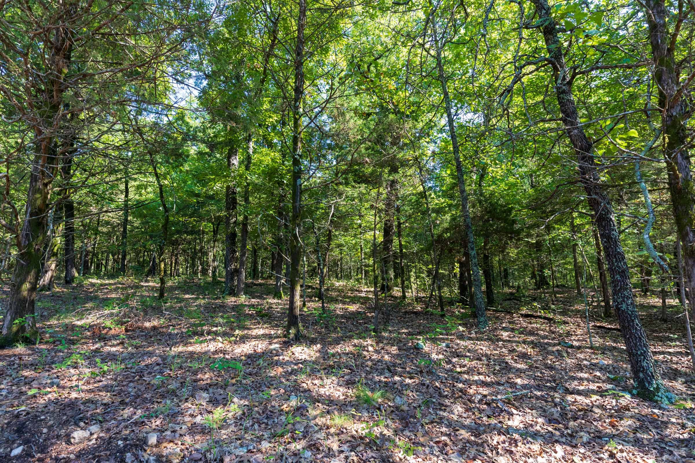Heritage Bend Tract 17 photo 9